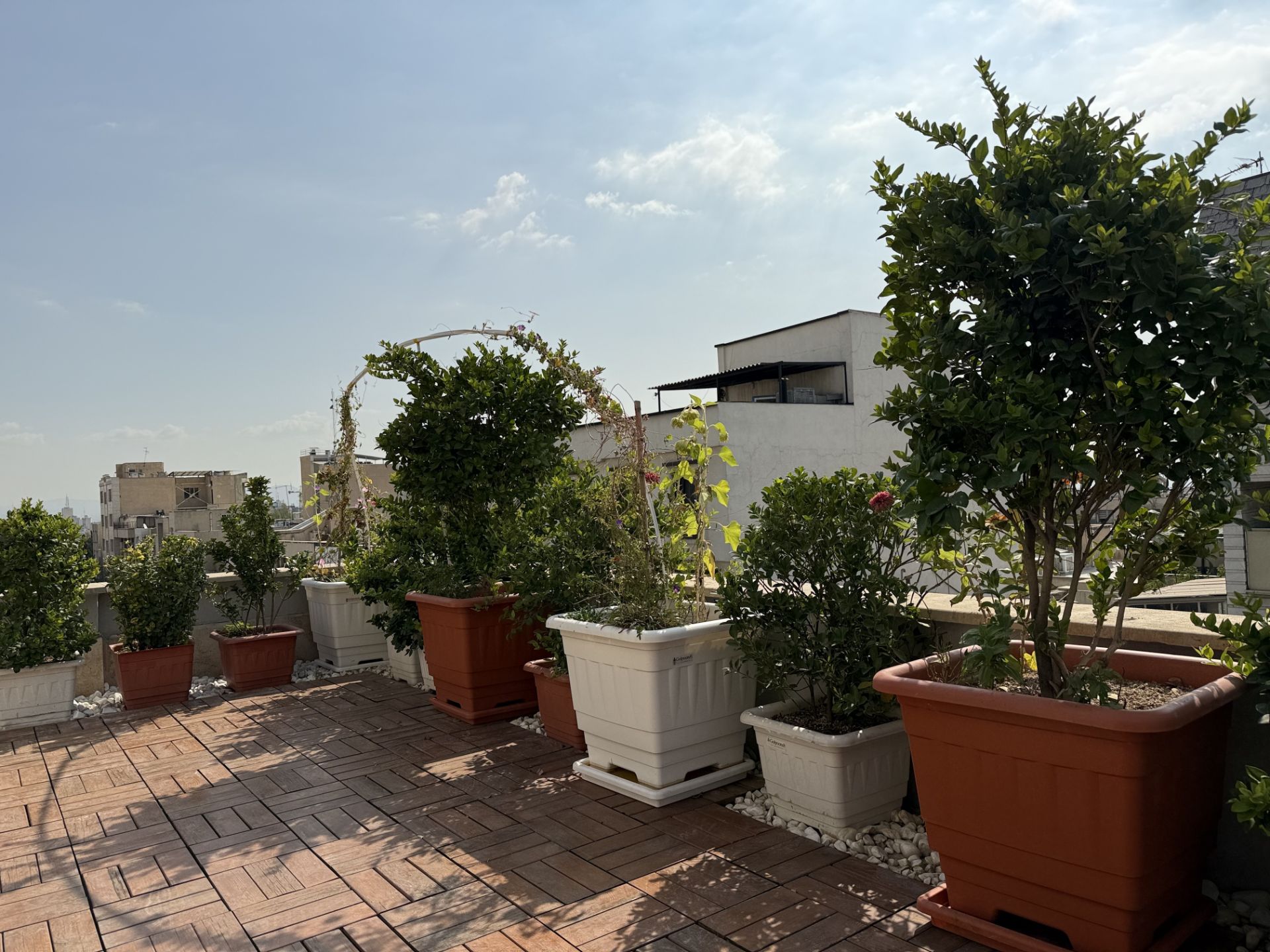 Zomit office terrace - 12 megapixel photo of iPhone 16 Pro main camera