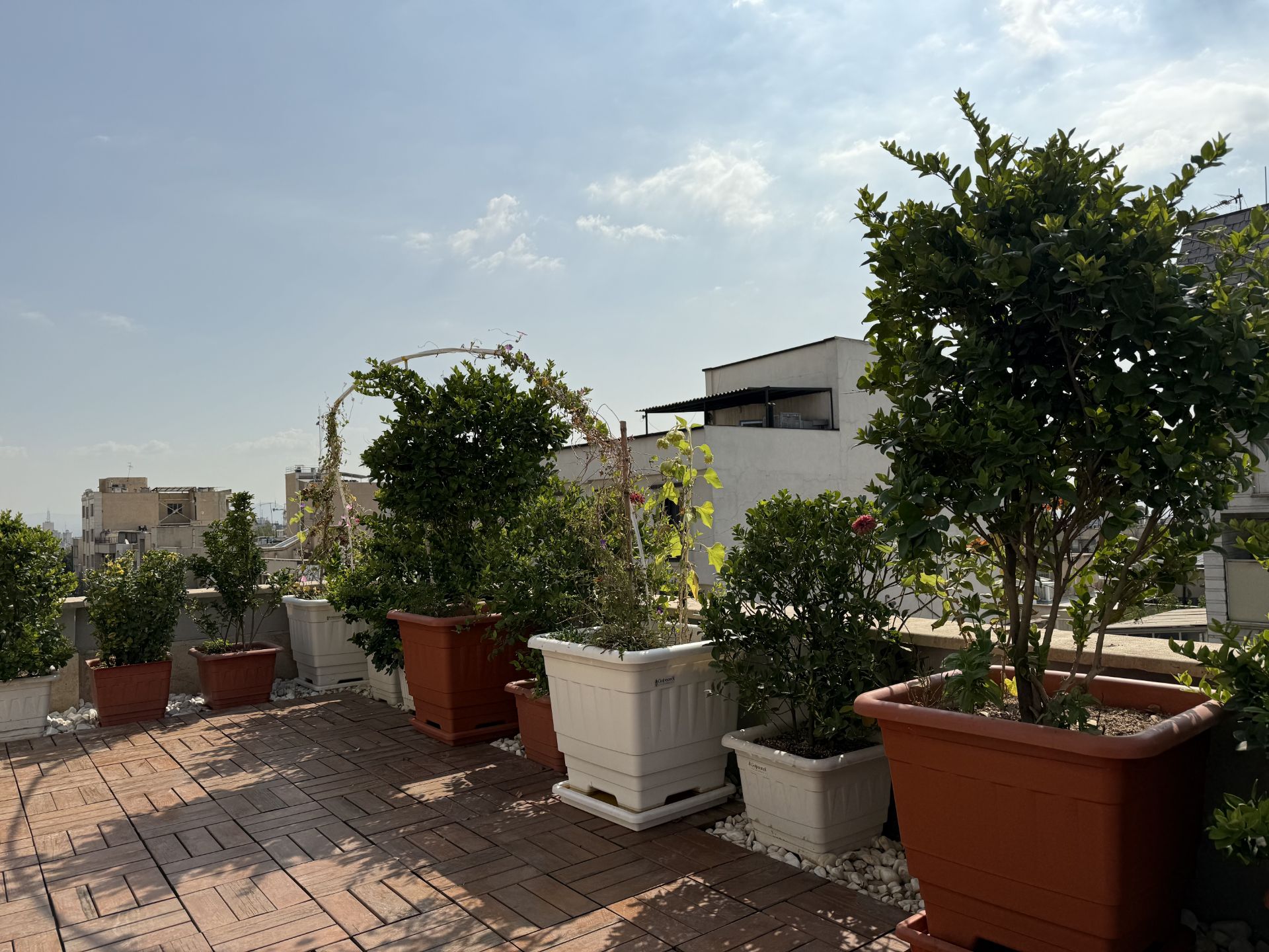 Zomit office terrace - 24 megapixel photo of iPhone 16 Pro main camera