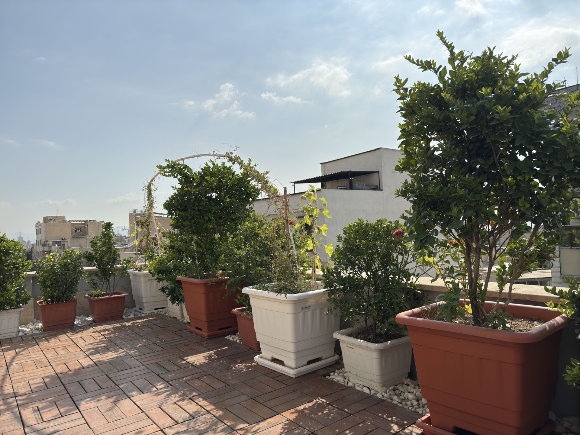 Zomit office terrace - 48 megapixel photo of iPhone 16 Pro main camera