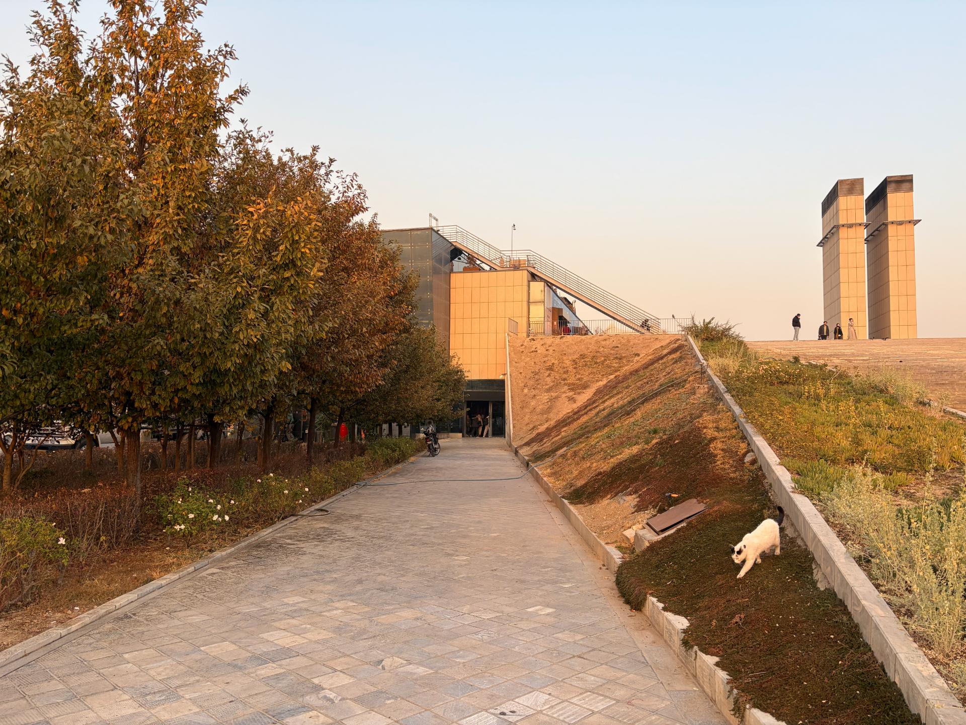 محوطه تفریحی روباز