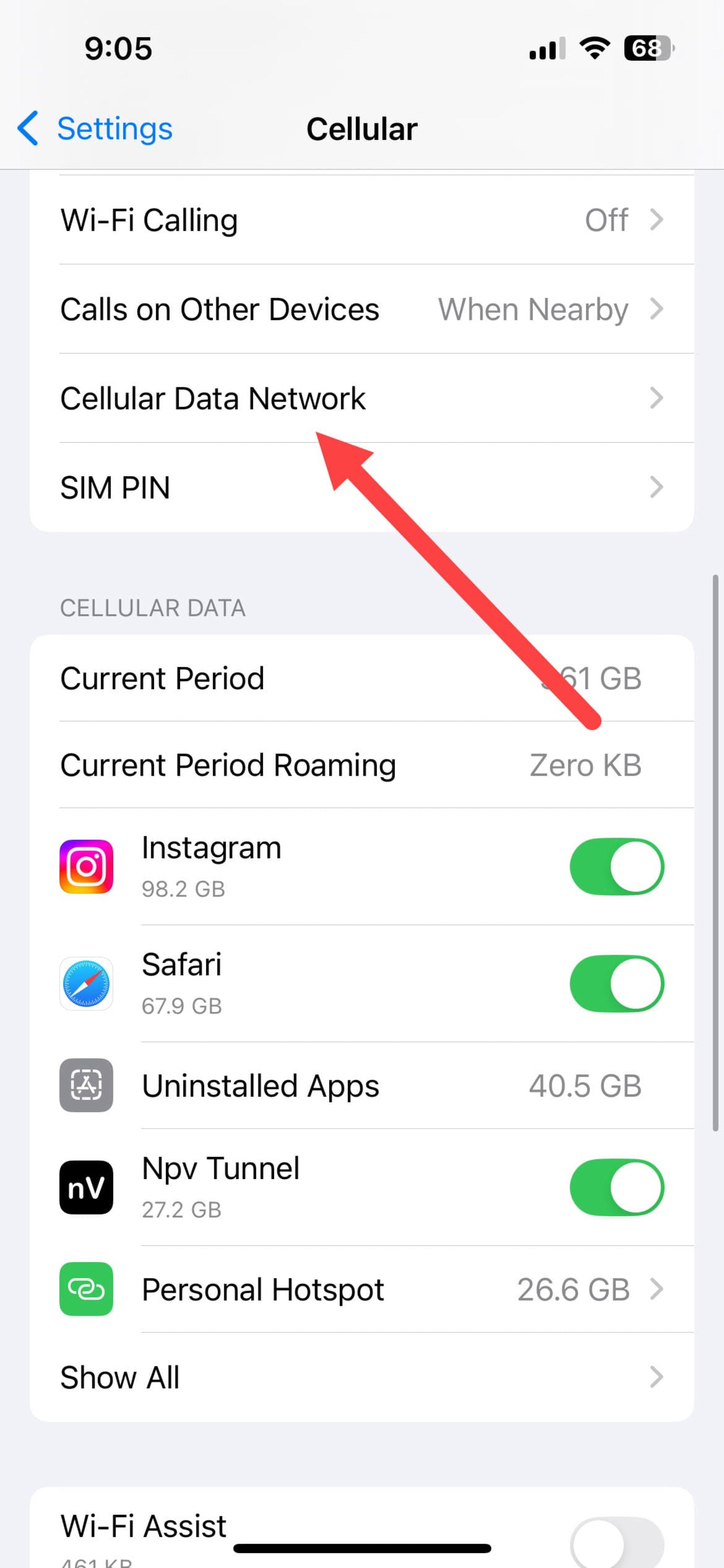 گزینه Cellular Data network ایفون