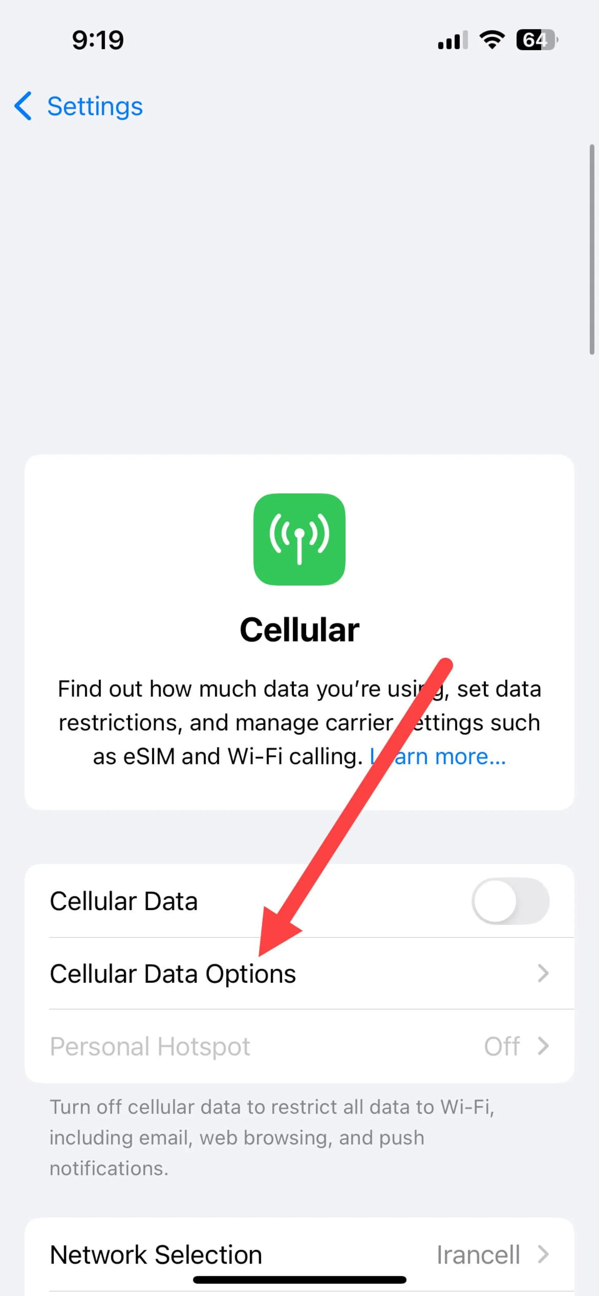 تنظیمات Cellular ایفون