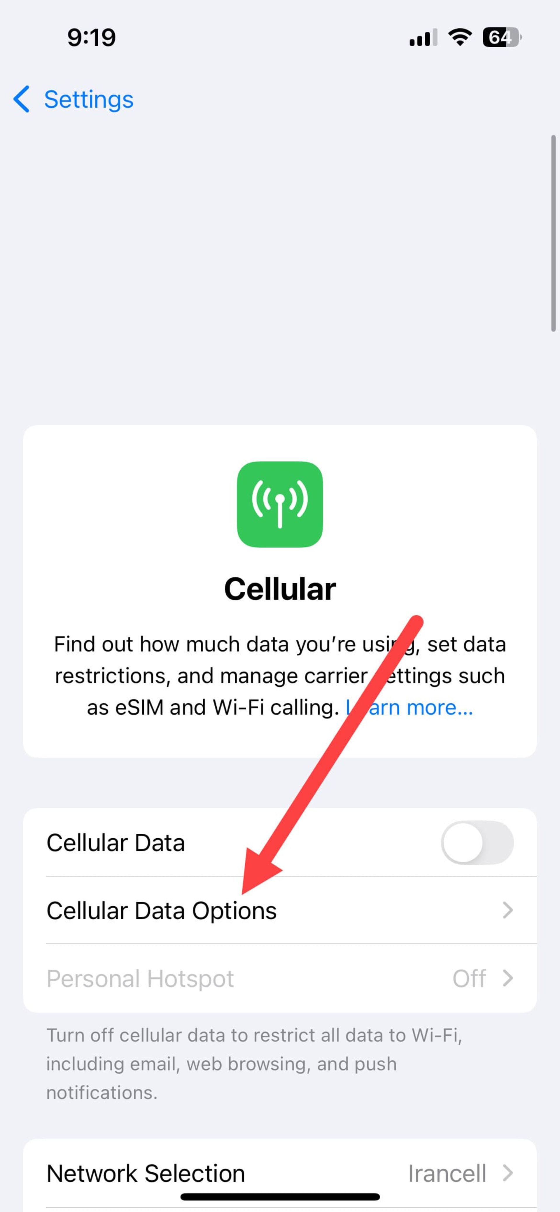 تنظیمات Cellular ایفون
