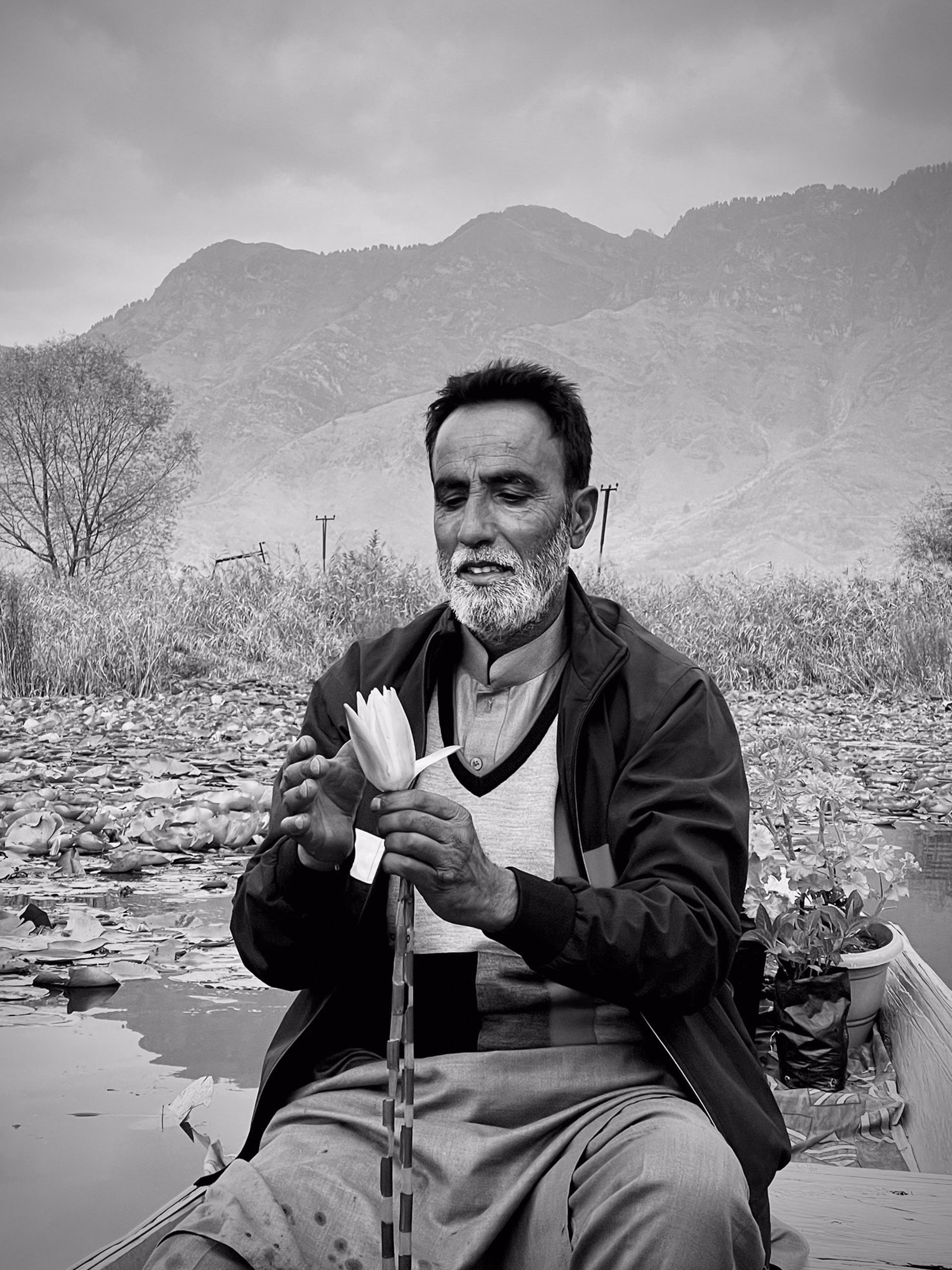 عکس سیاه و سفید مرد درحال نوازش گل نیلوفر آبی