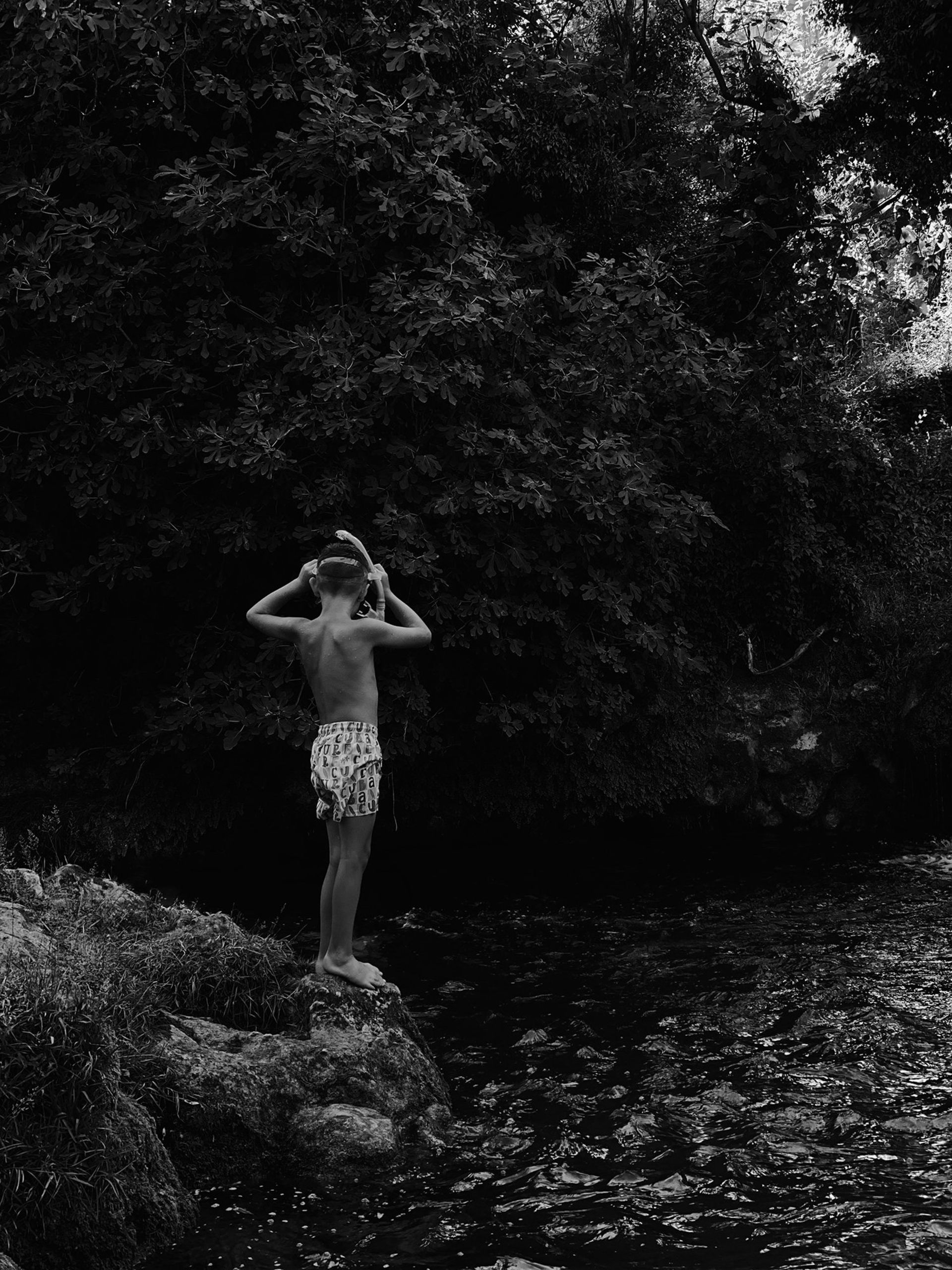 عکس پسر در تابستان در طبعیت 