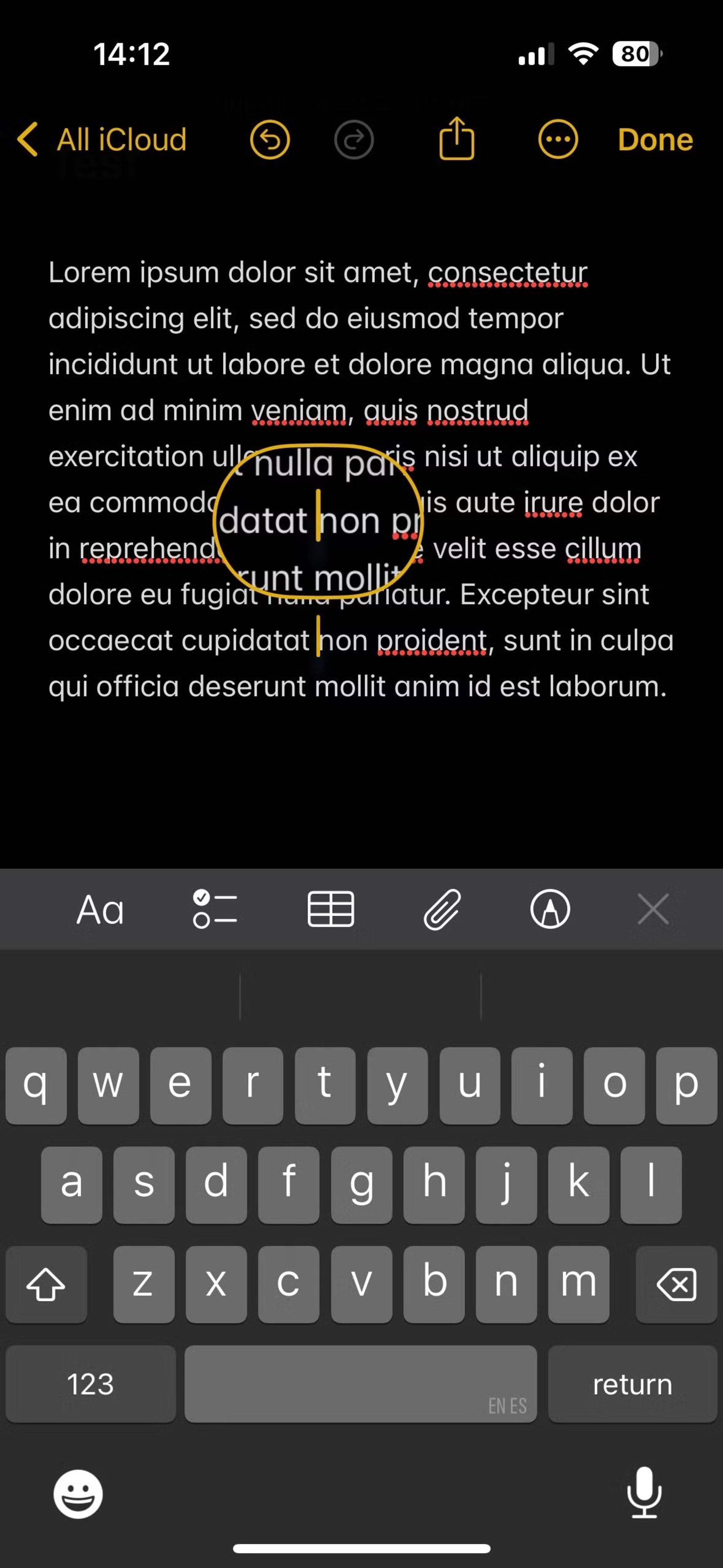 ترک پد آیفون