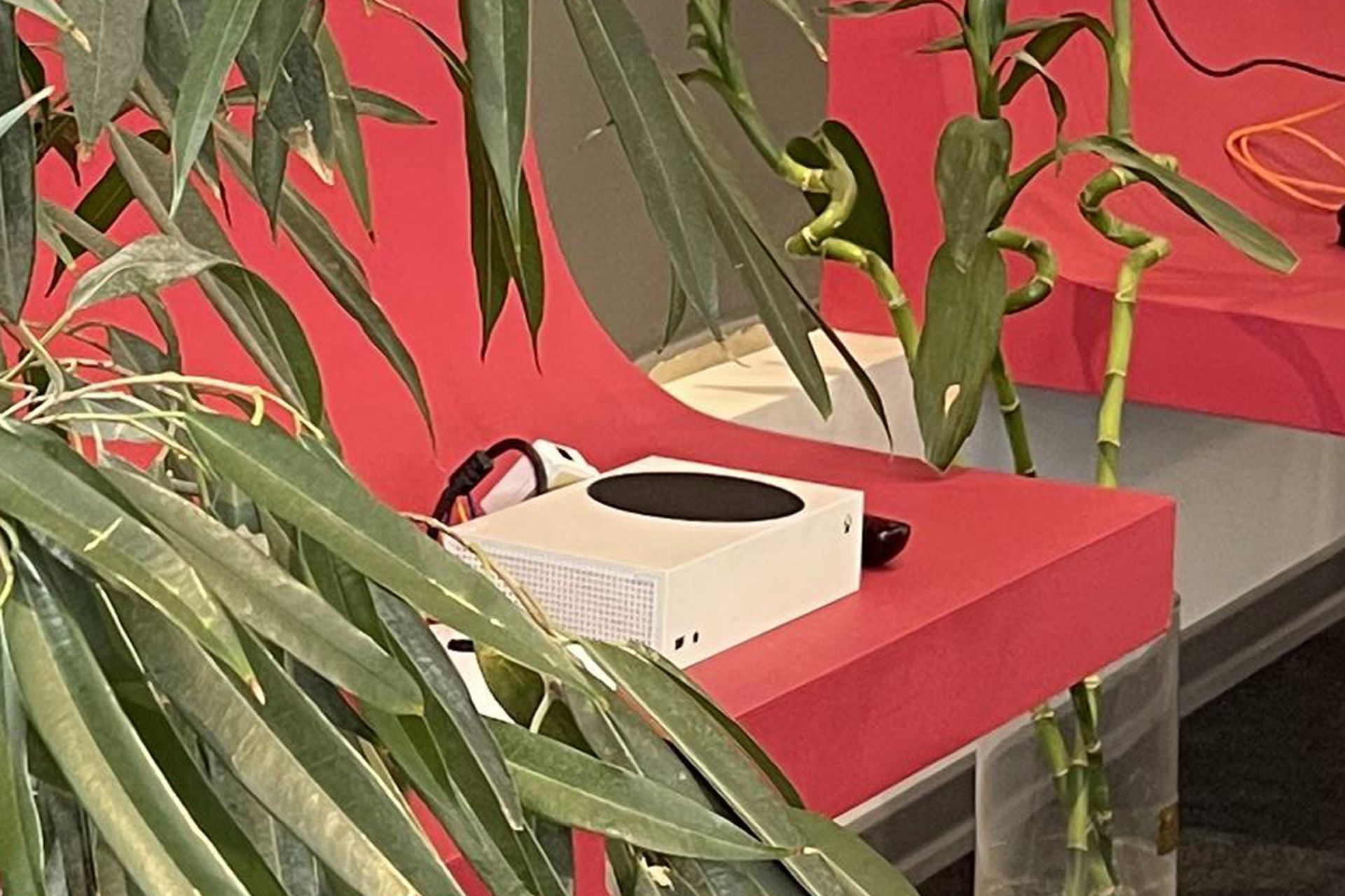 برش دوربین اصلی آیفون ۱۲پرومکس