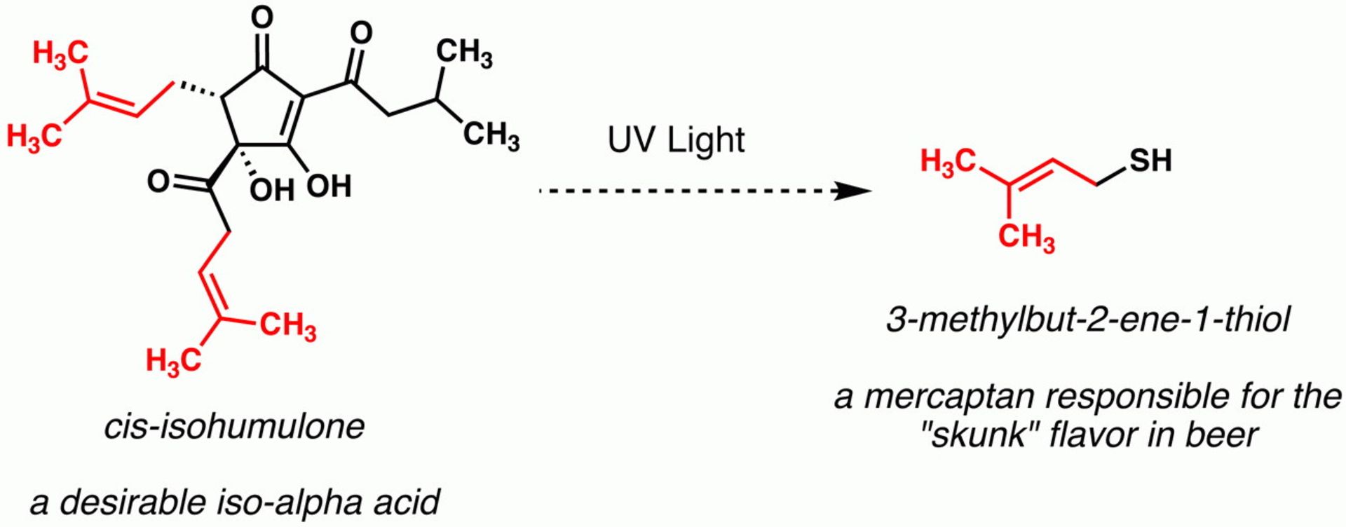 واکنش شیمایی آلفا اسید آبجو زیر نور UV