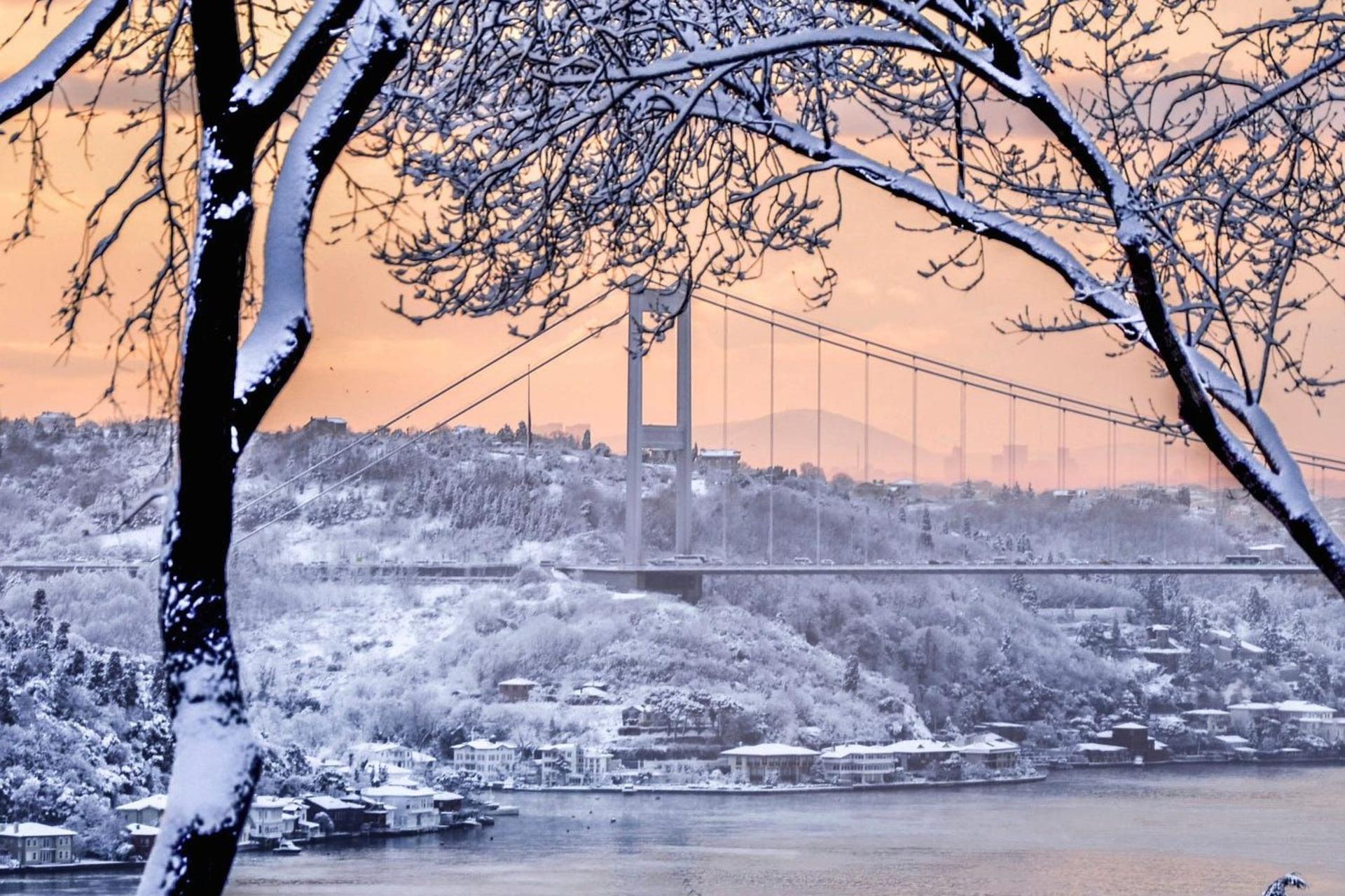 فلای تودی