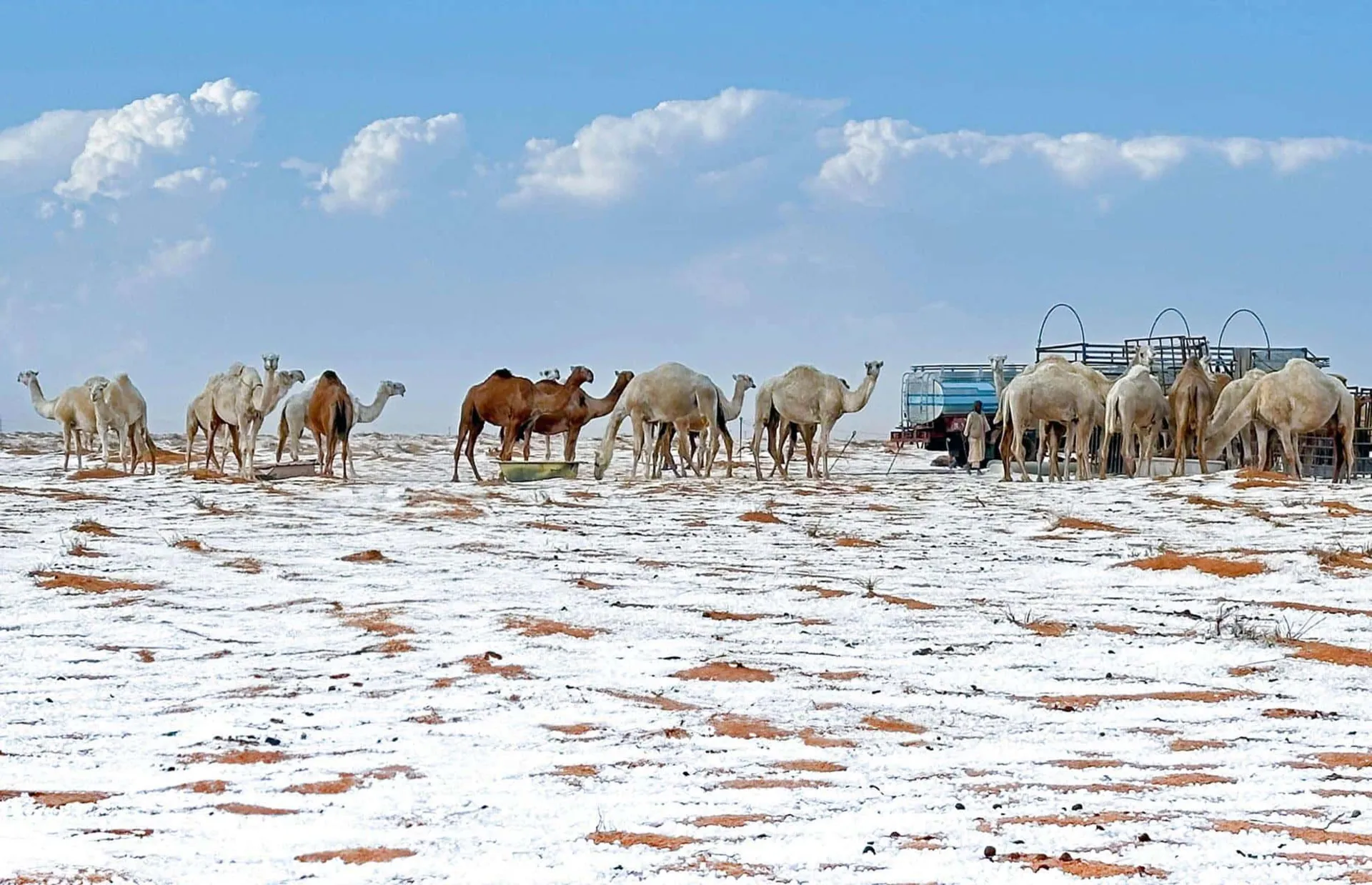 بارش برف در عربستان سعودی