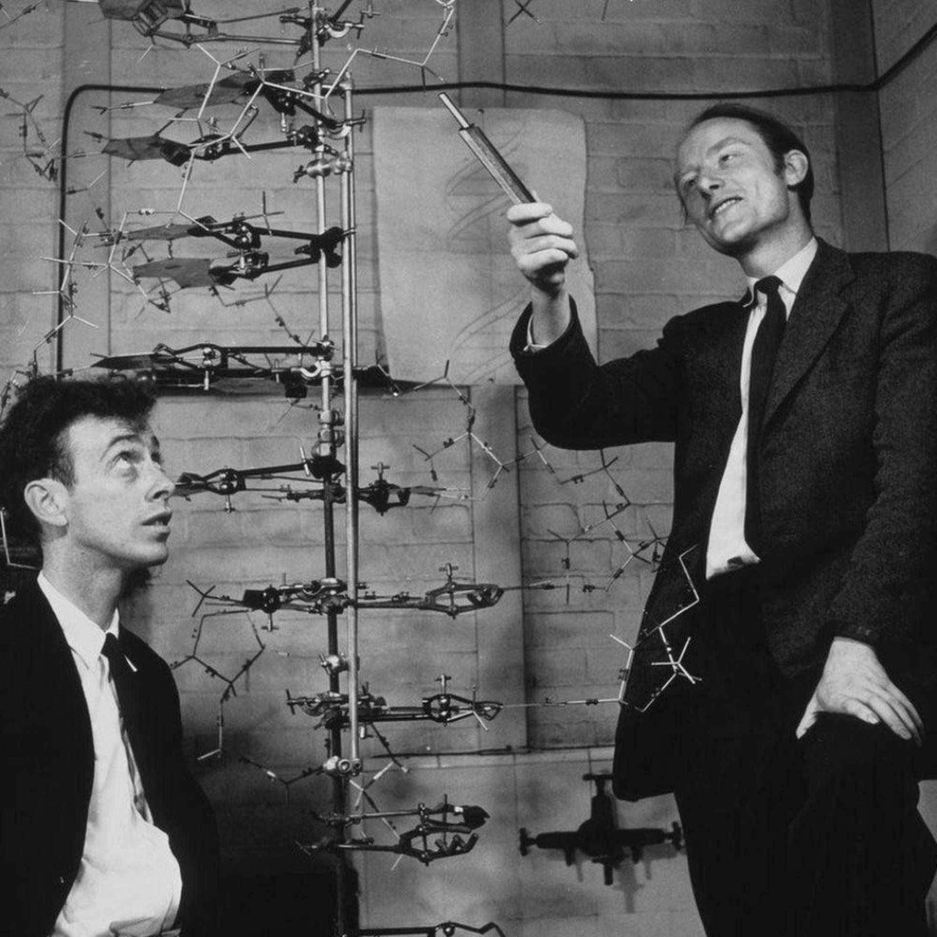 جیمز واتسون و فرانسیس کریک کاشفان مارپیچ دوگانه DNA در کمبریج