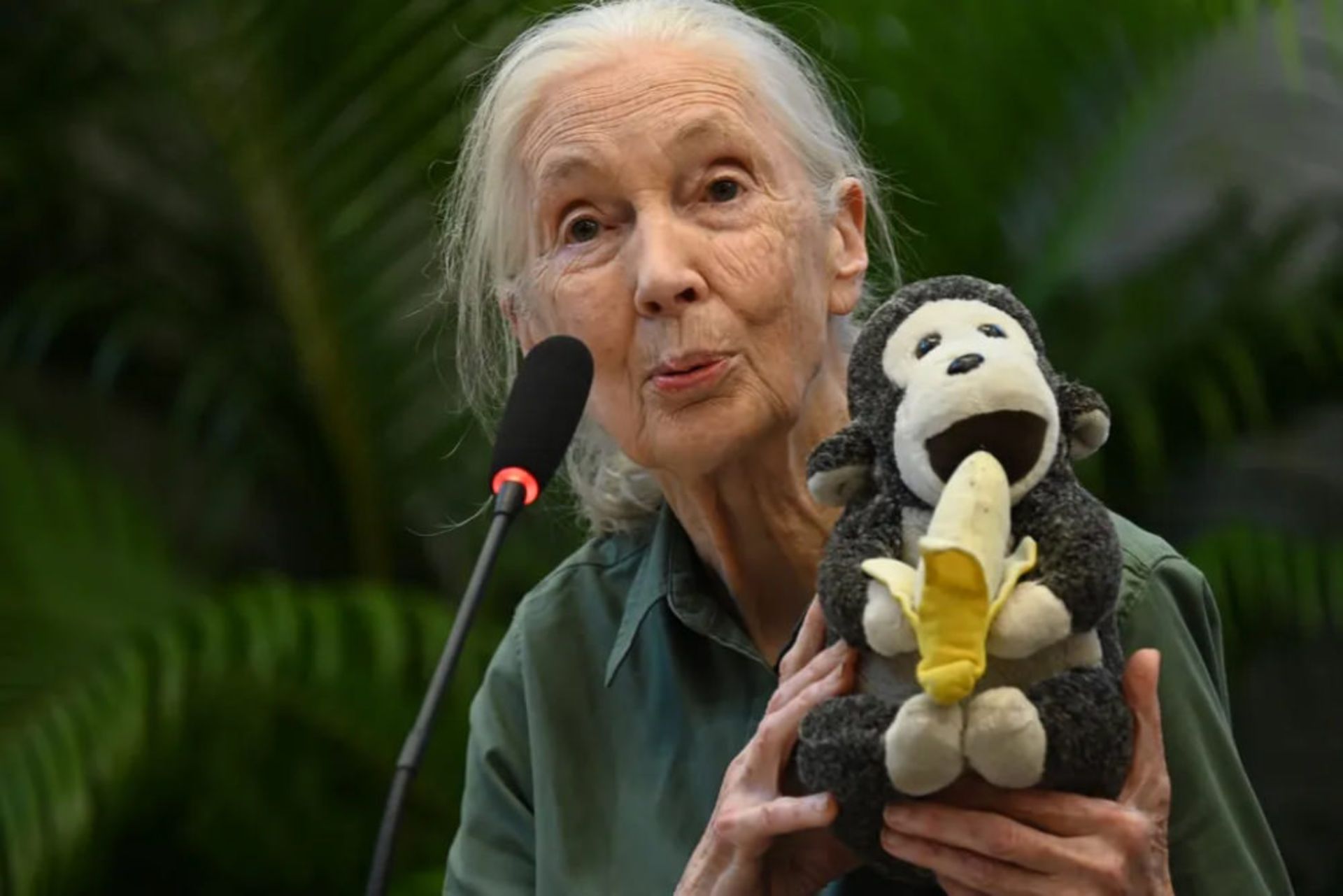 گودال در ۱۶ نوامبر ۲۰۲۴ در بمبئی هند، به عنوان بخشی از «تور جهانی امید» خود، سخنرانی کرد.