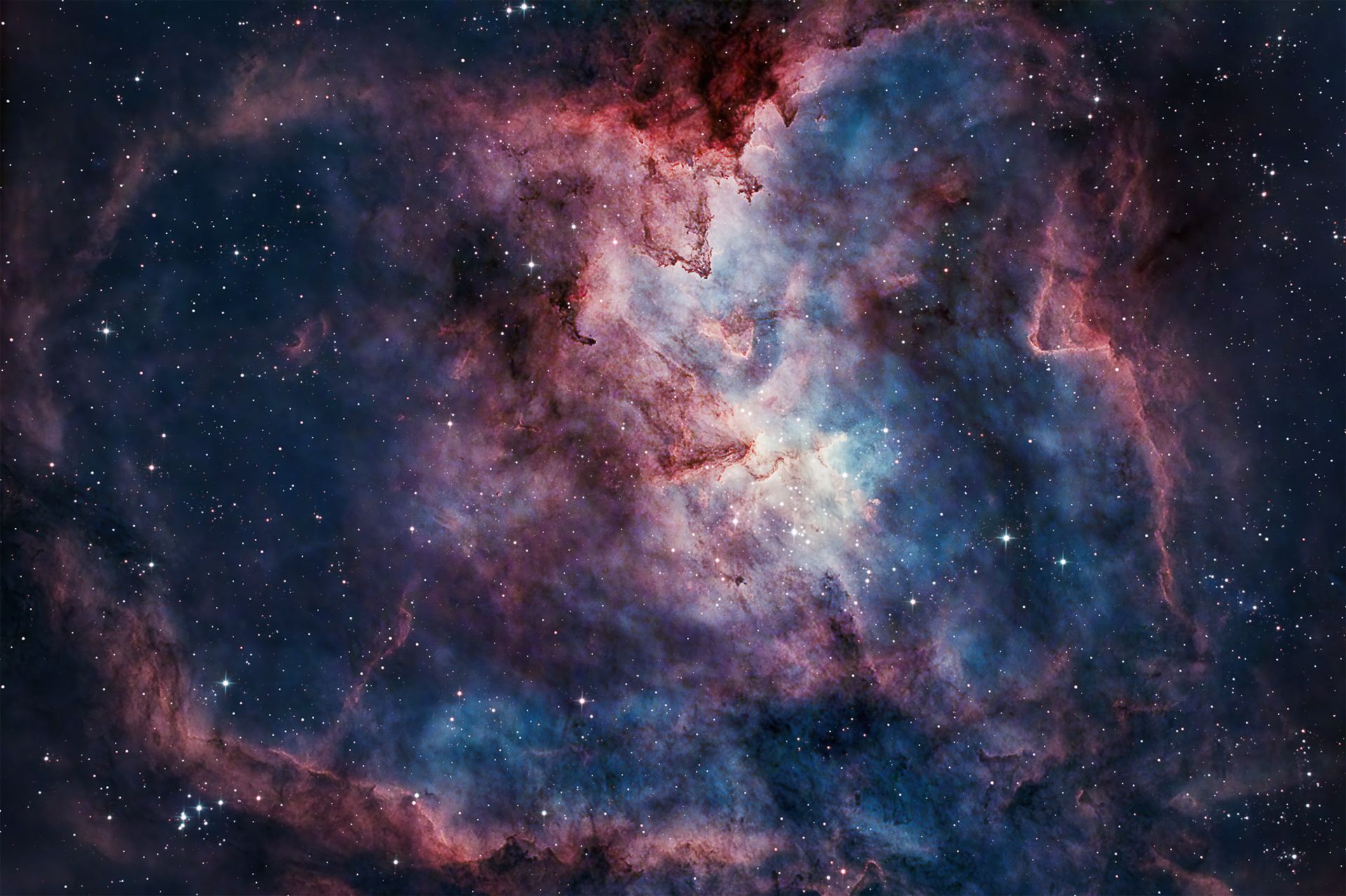 برنده دسته آسمان شب مسابقه قناری