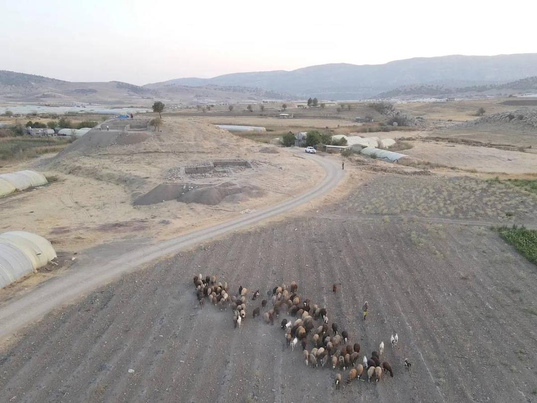 محوطه باستان‌شناسی کانی شای