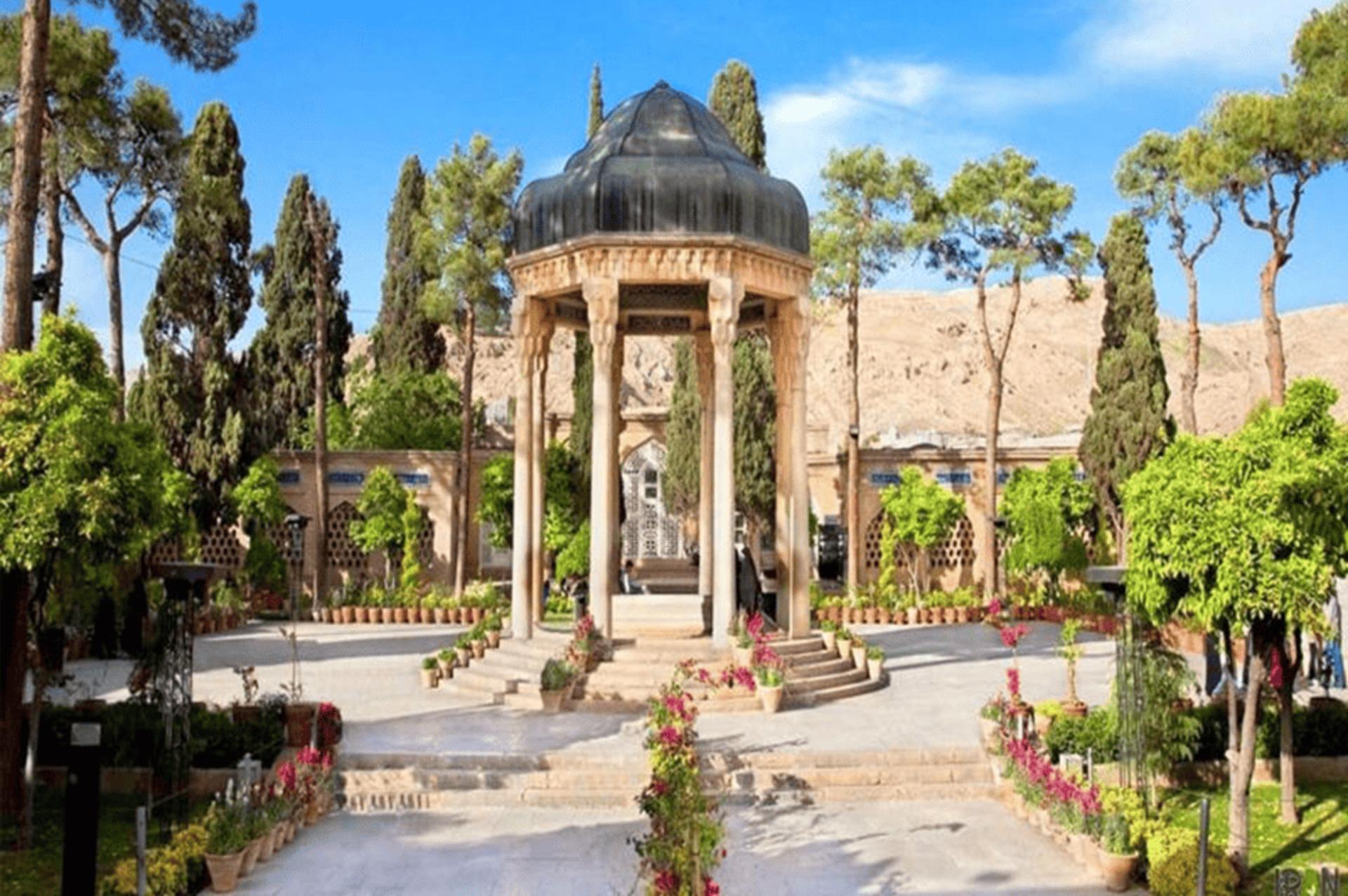 فلای تودی
