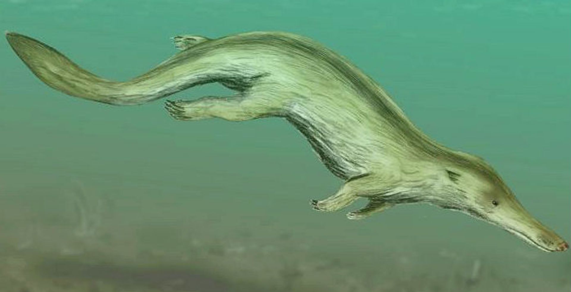 تصویرسازی هنری کوتچیستوس (Kutchicetus) در آب
