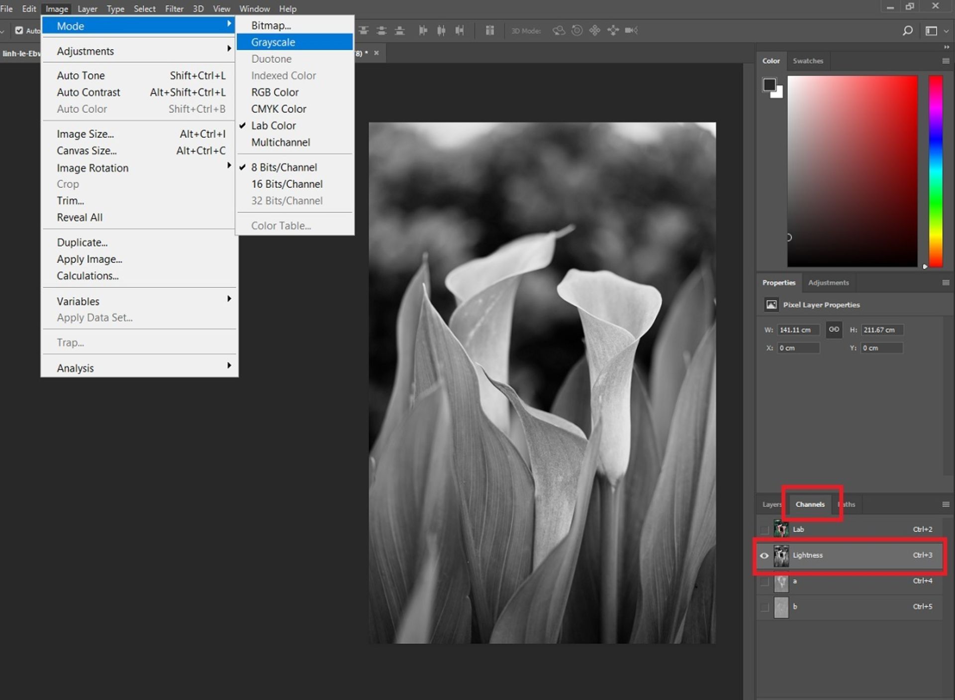 Lab Color  تبدیل عکس رنگی به سیاه و سفید در فتوشاپ