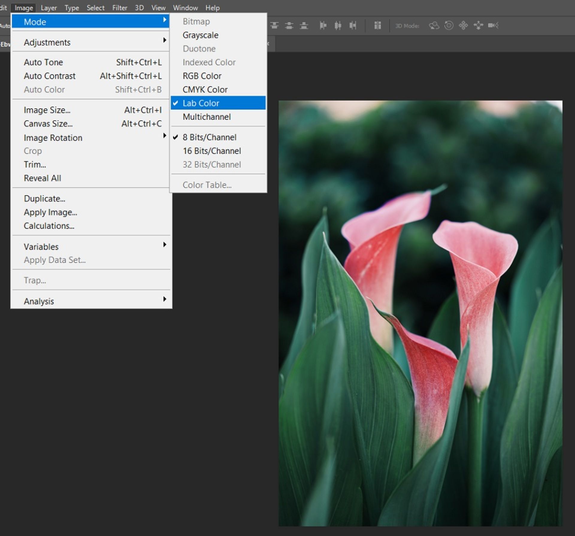 Lab Color  تبدیل عکس رنگی به سیاه و سفید در فتوشاپ