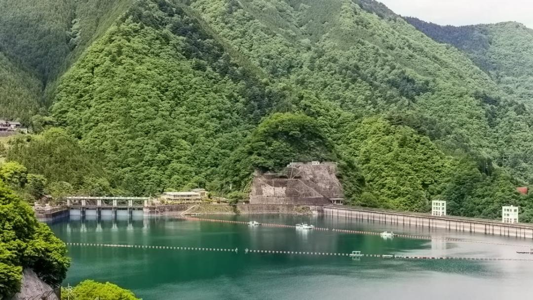 دریاچه و جنگل اوکوتاما غرب توکیو