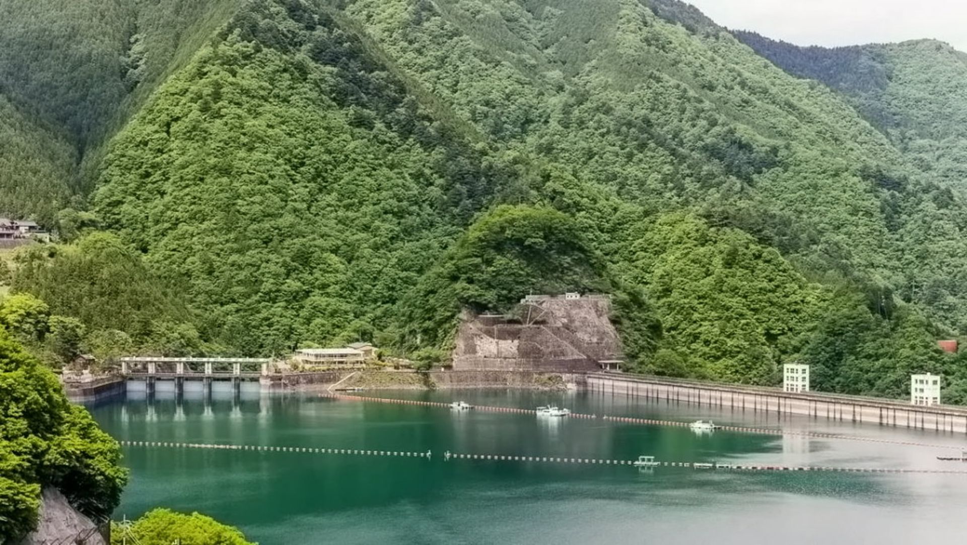 دریاچه و جنگل اوکوتاما غرب توکیو