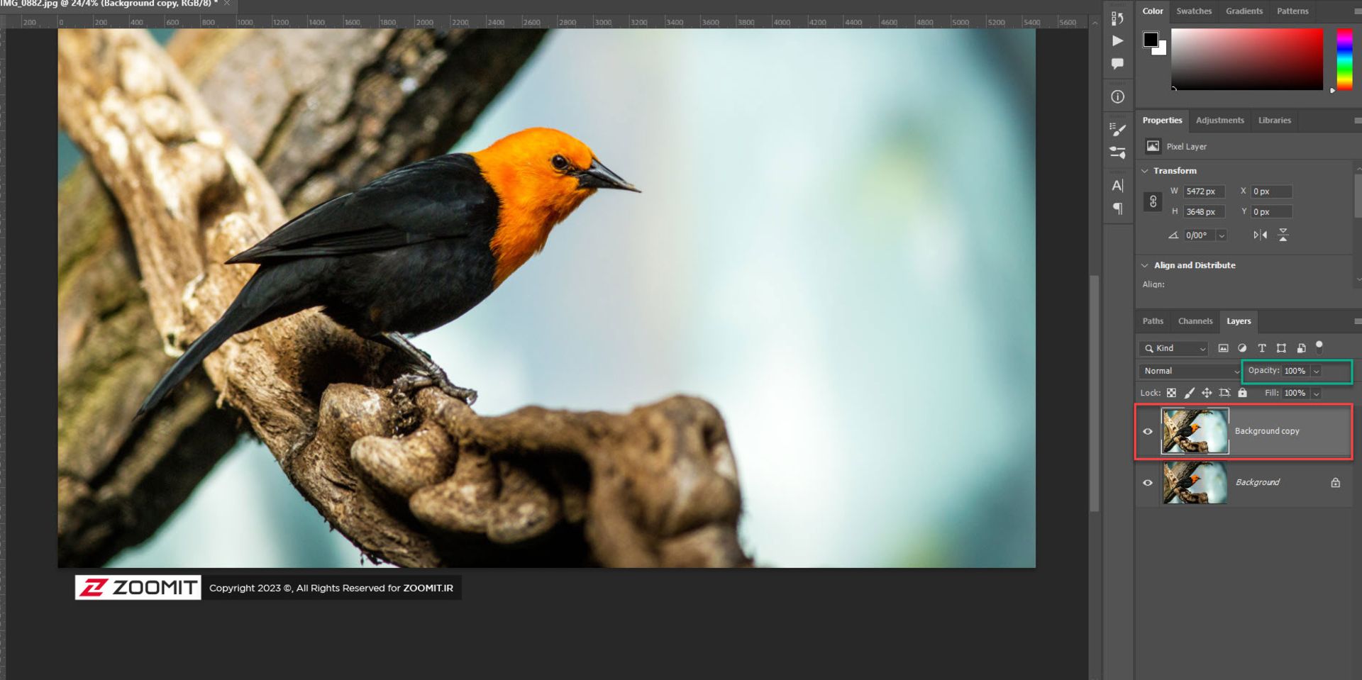 شفافیت لایه