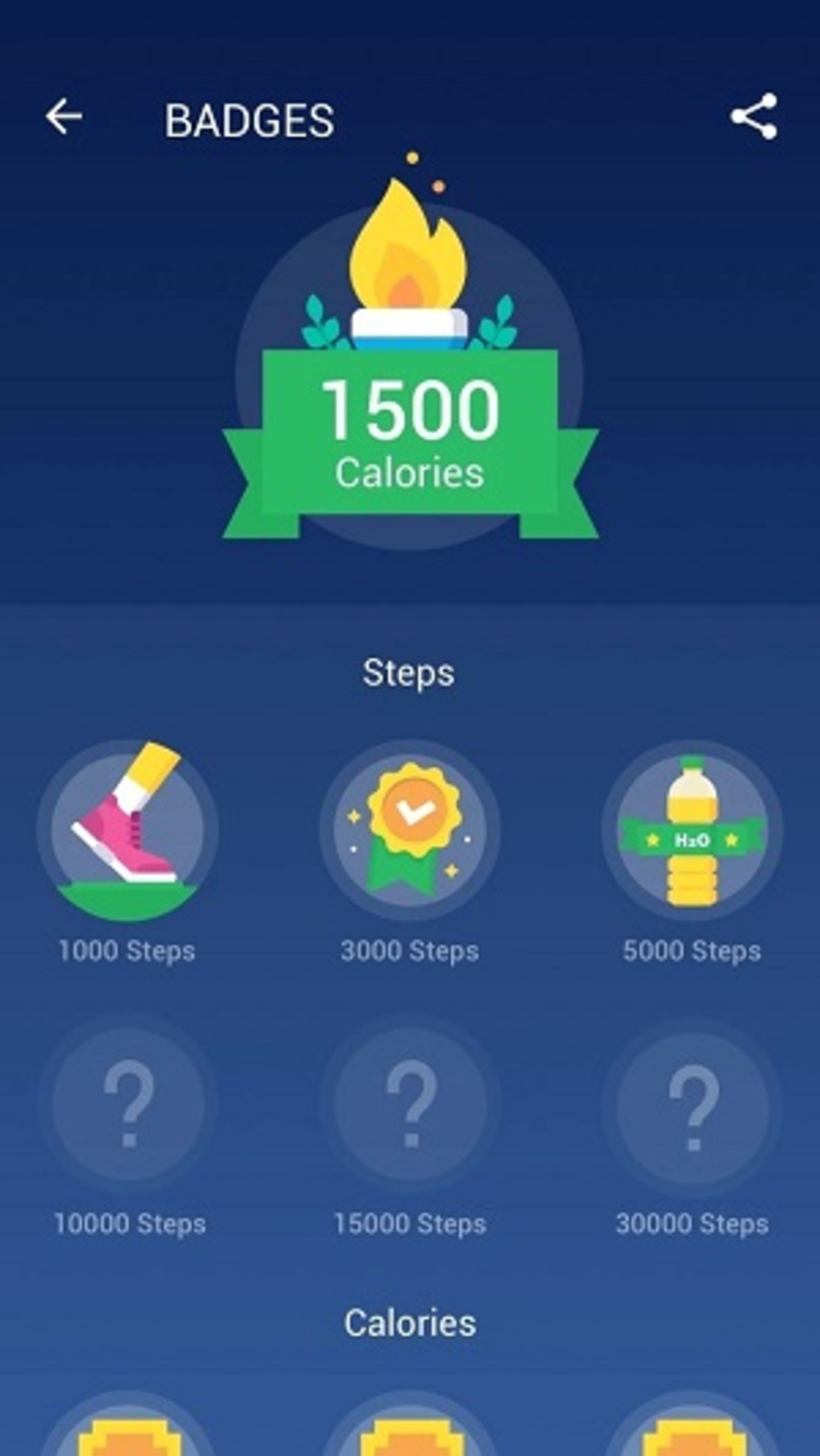 قدم شمار Leap Fitness Step Counter