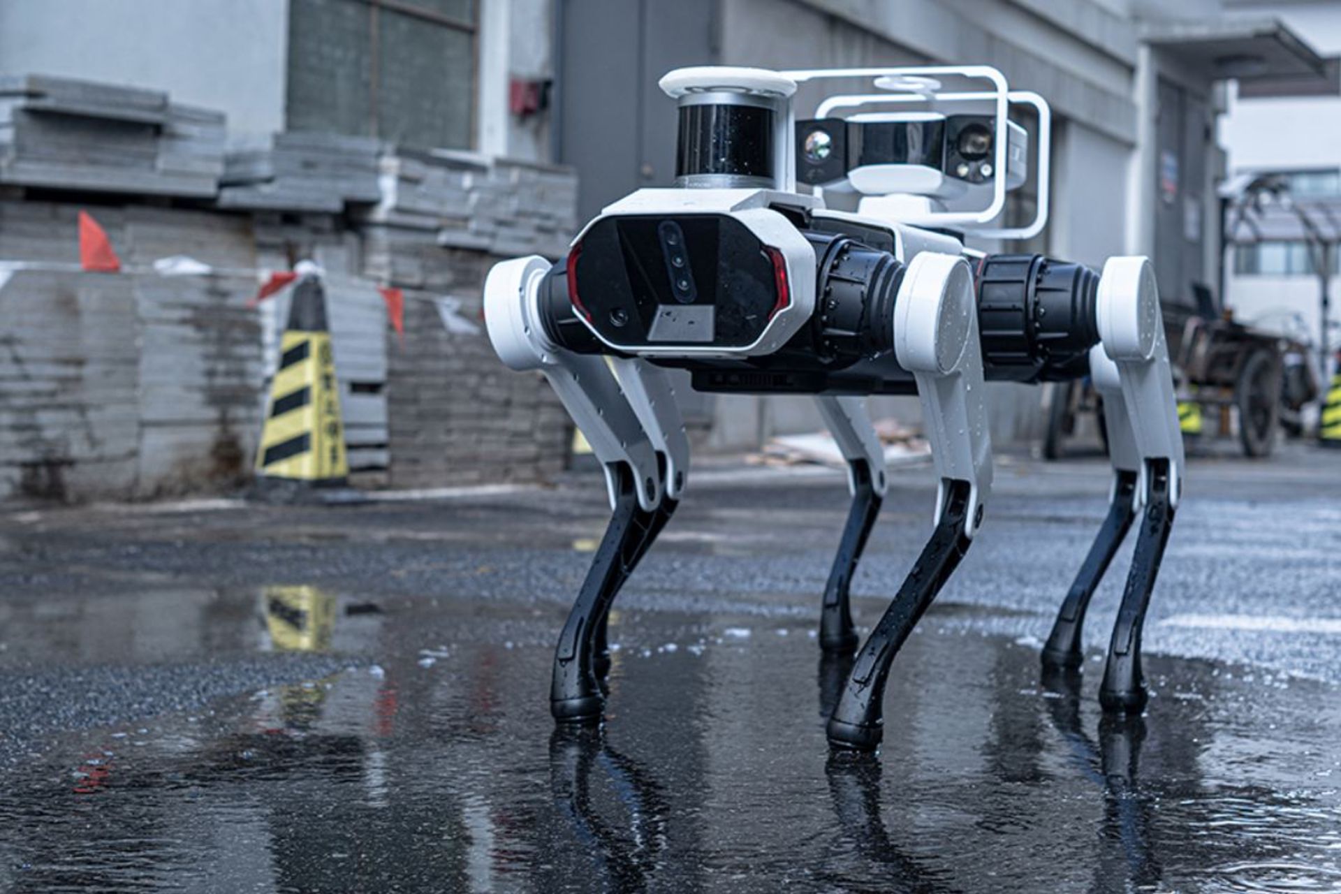 سگ رباتیک لنوو Daystar Bot GS