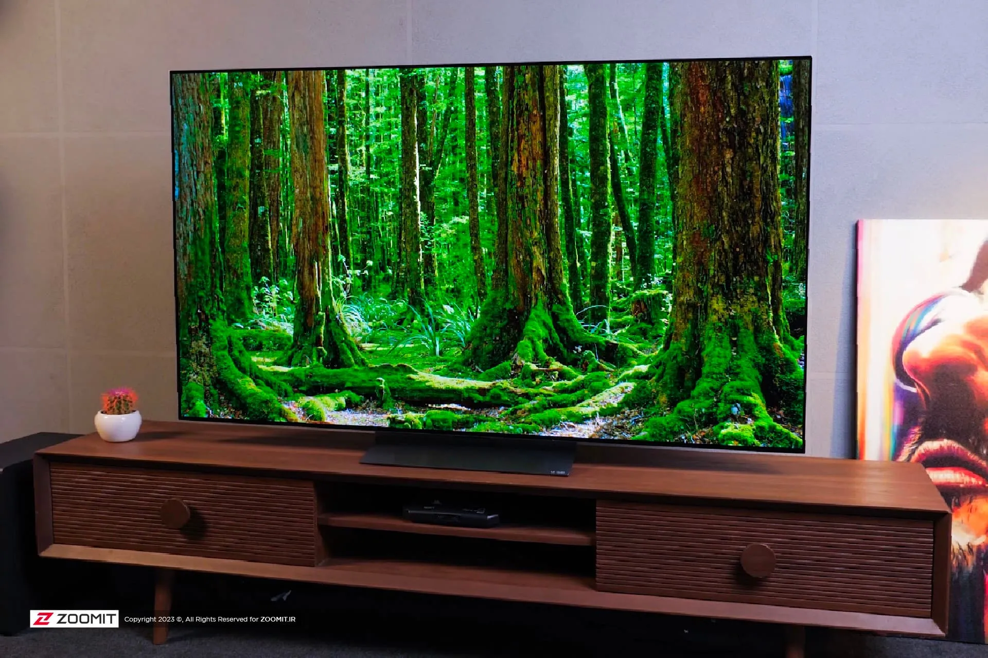 نمایش جنگل و درخت روی تلویزیون LG C2 evo OLED 2022