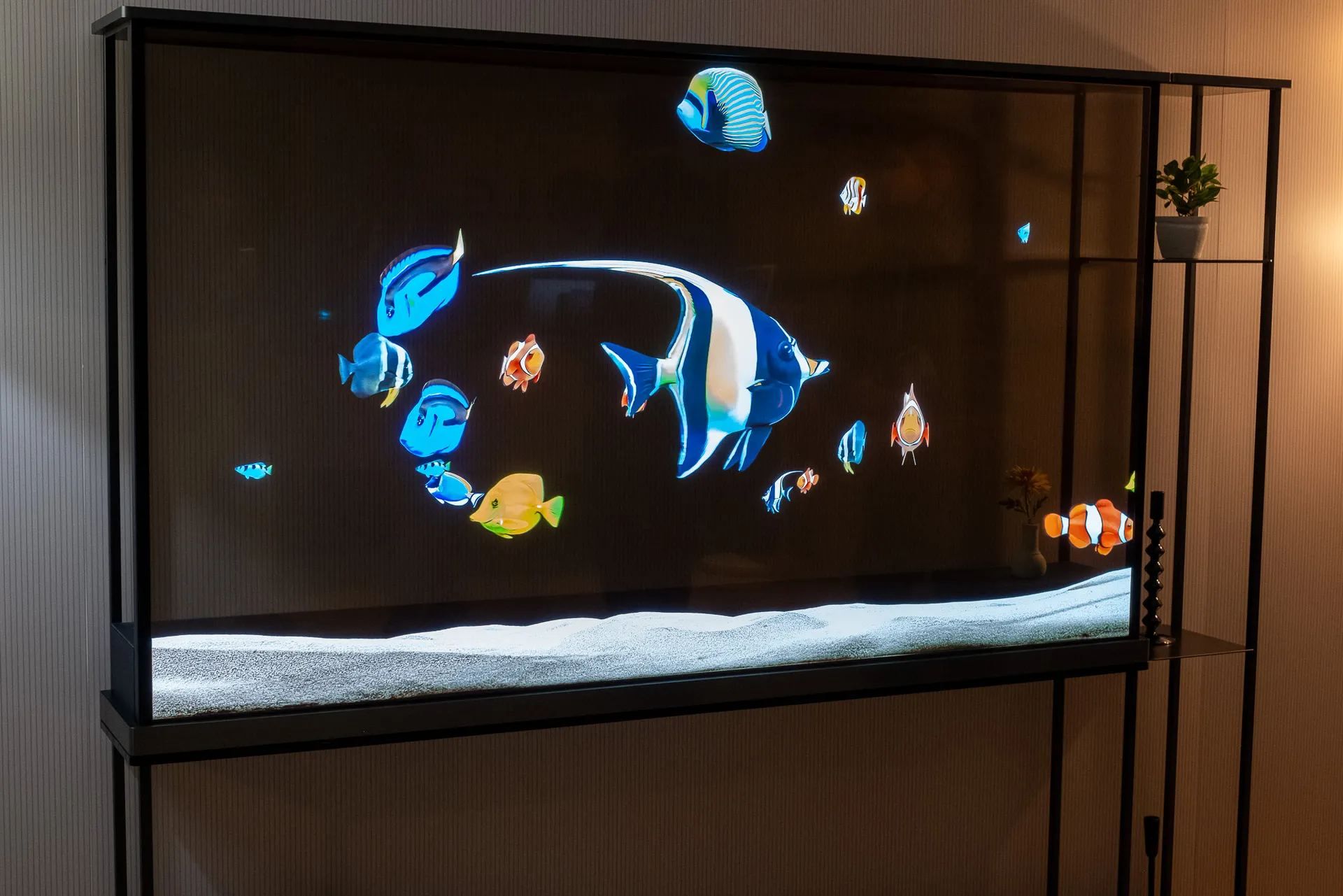 تلویزیون شفاف OLED Signature T ال جی