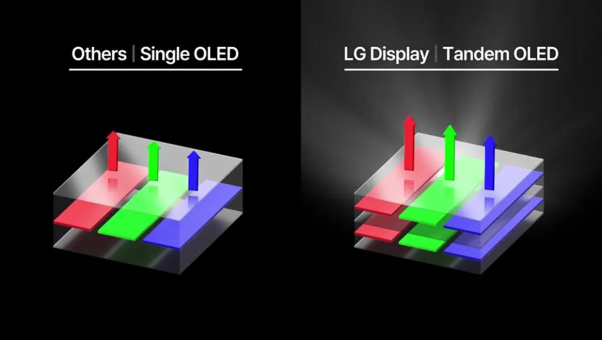 تلویزیون OLED ال جی در محیط خانه