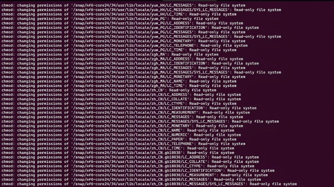 پیام خطای Read-only file system هنگام اجرای دستور chmod در ترمینال لینوکس