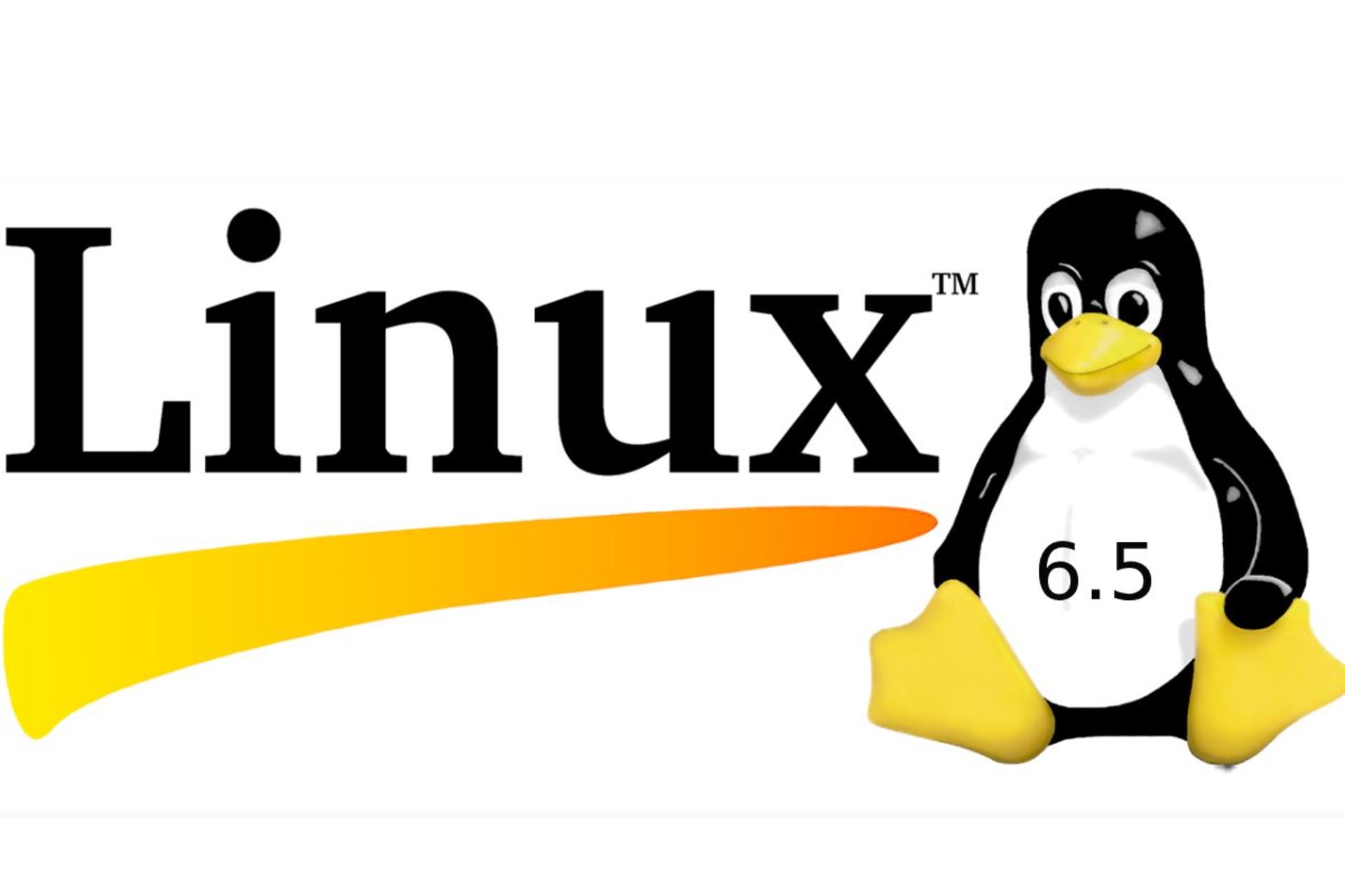 کرنل لینوکس نسخه ۶٫۵