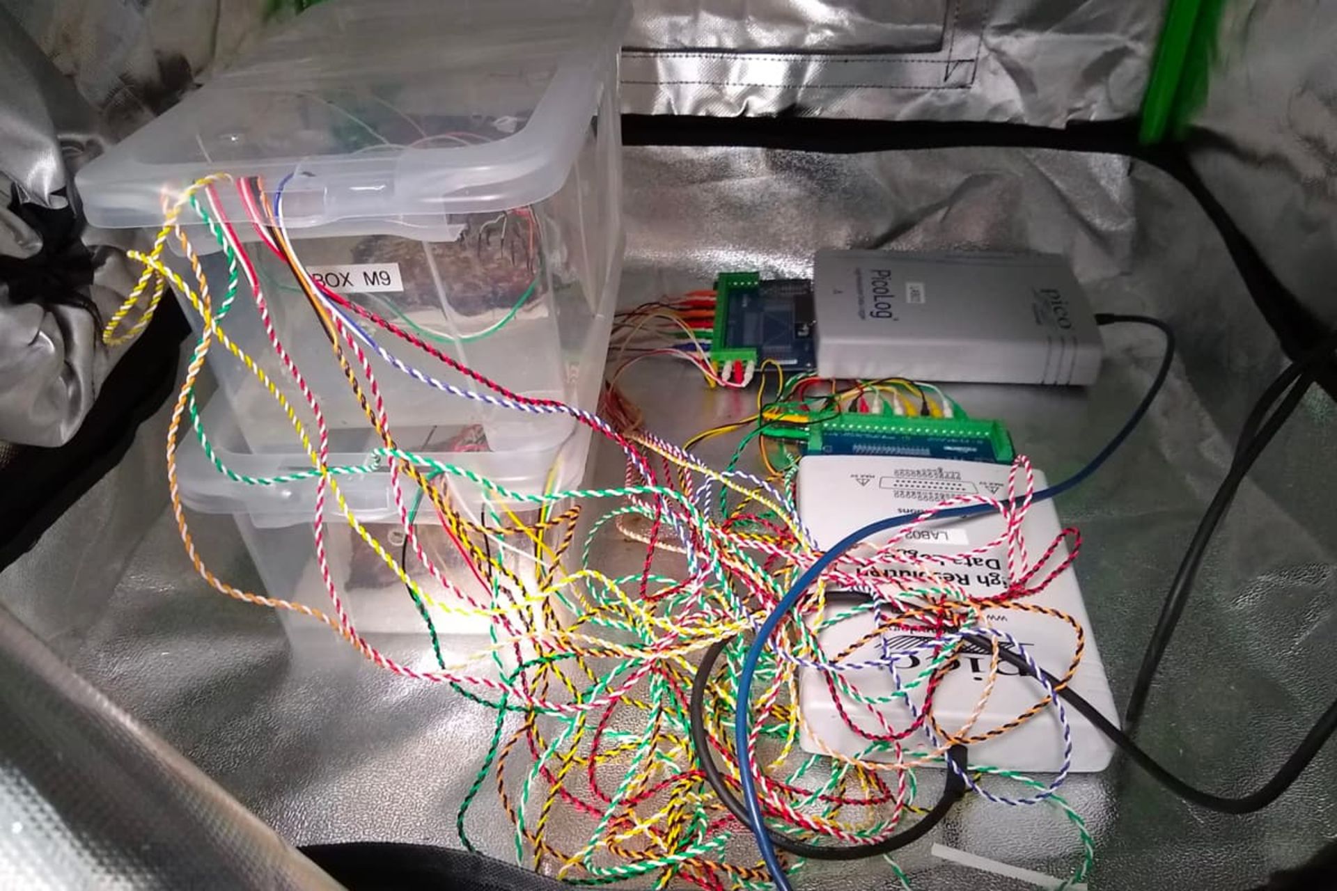 مادربرد قارچی در داخل یک محفظه