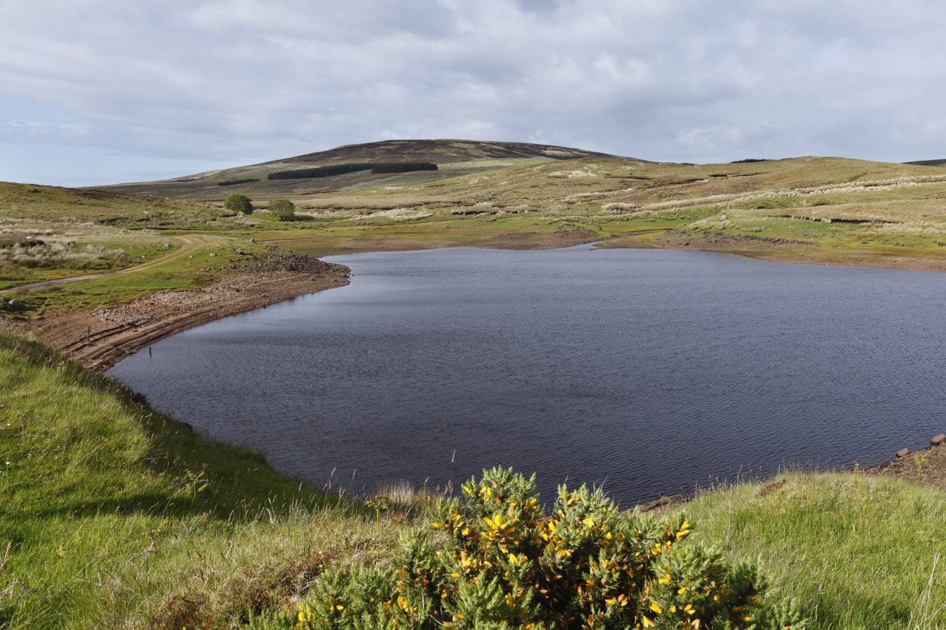 دریاچه ناپدیدشونده ایرلند 