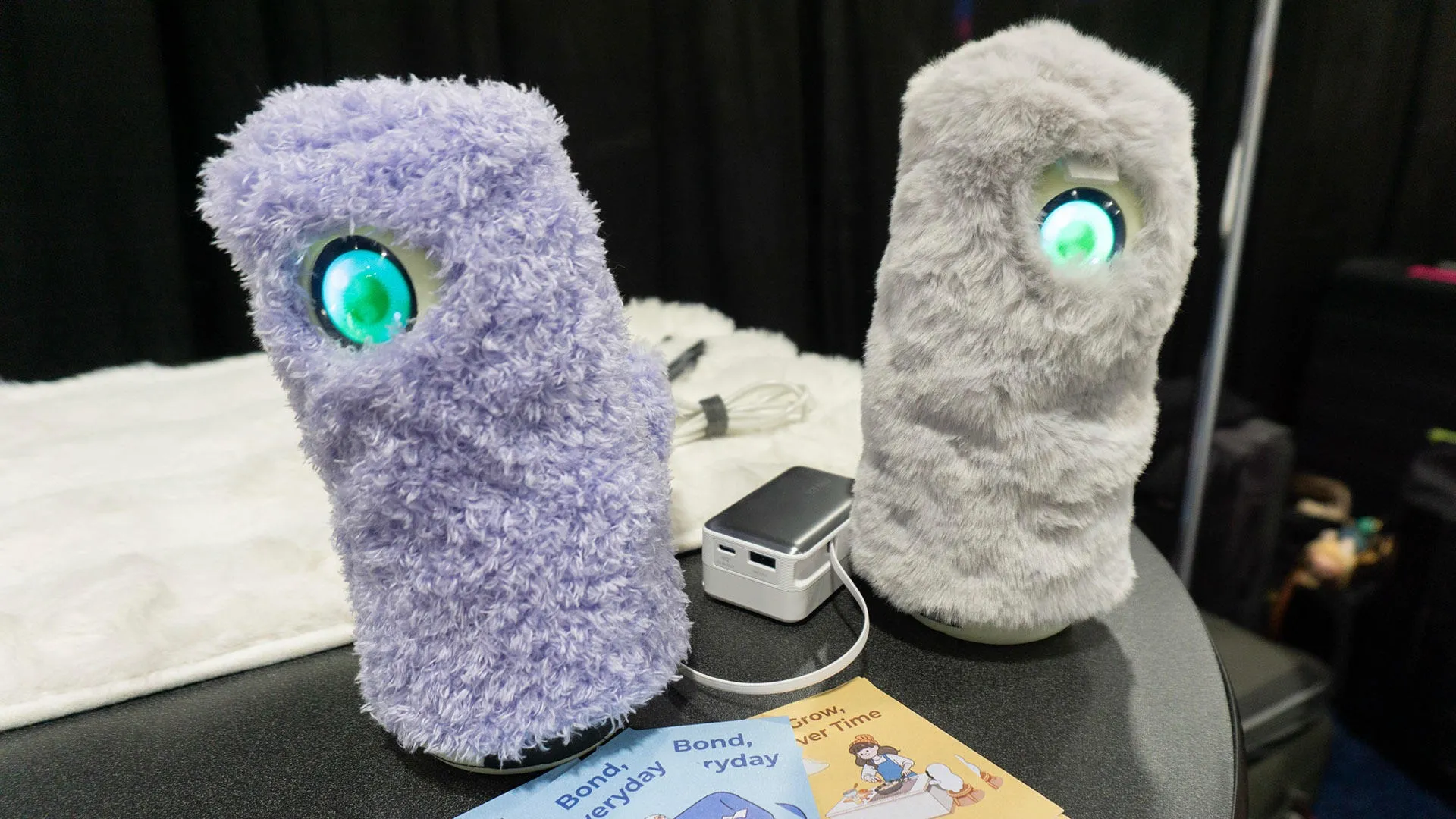 دو عدد ربات اینو کنار هم روی میز