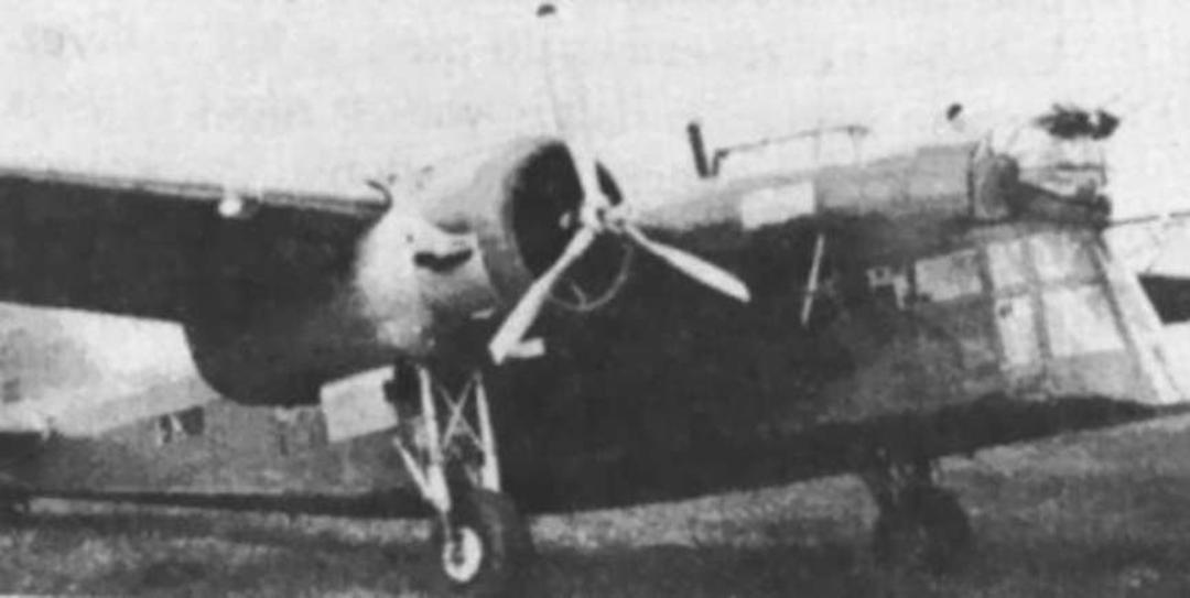 هواپیمای LWS-6 Żubr