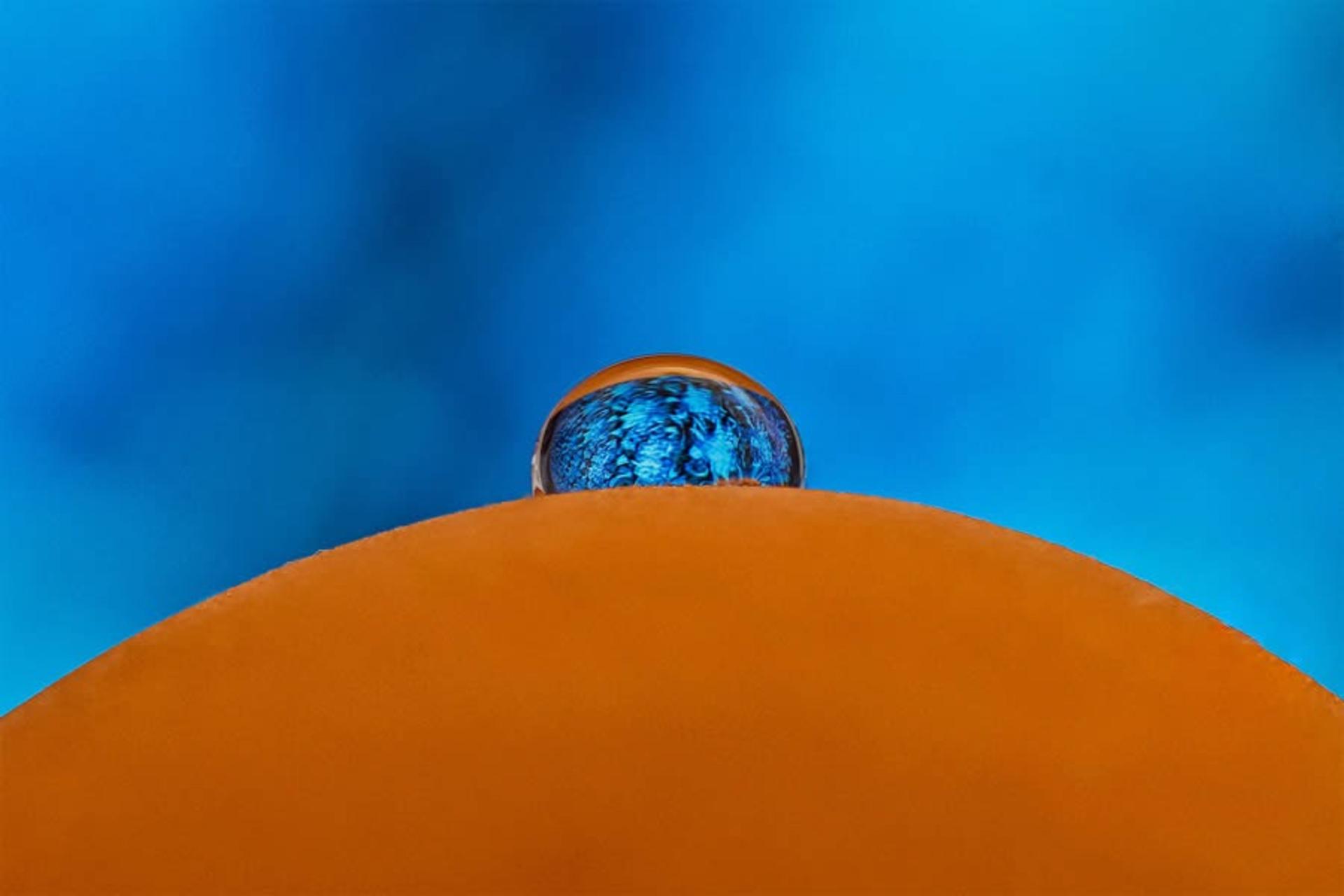قطره اب روی گل