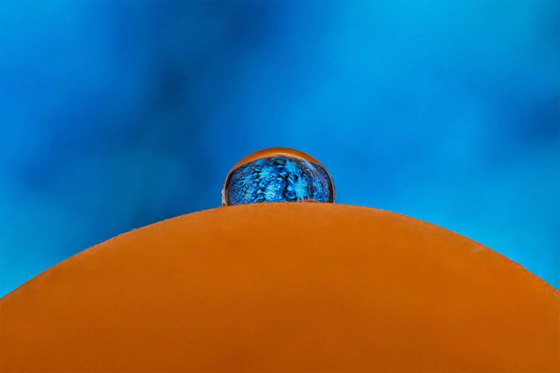 قطره اب روی گل