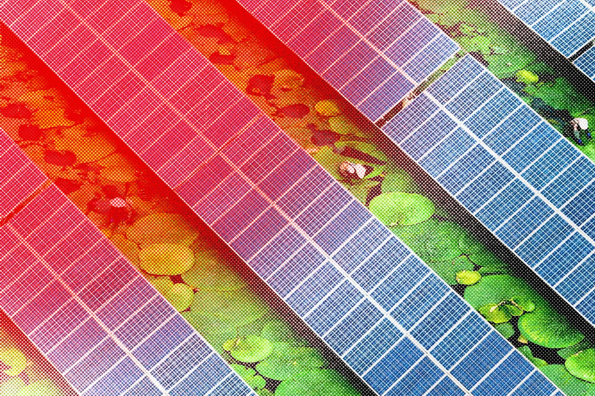 انقلاب انرژی در قاره سیاه؛ آفریقا رکورددار واردات پنل خورشیدی از چین شده است