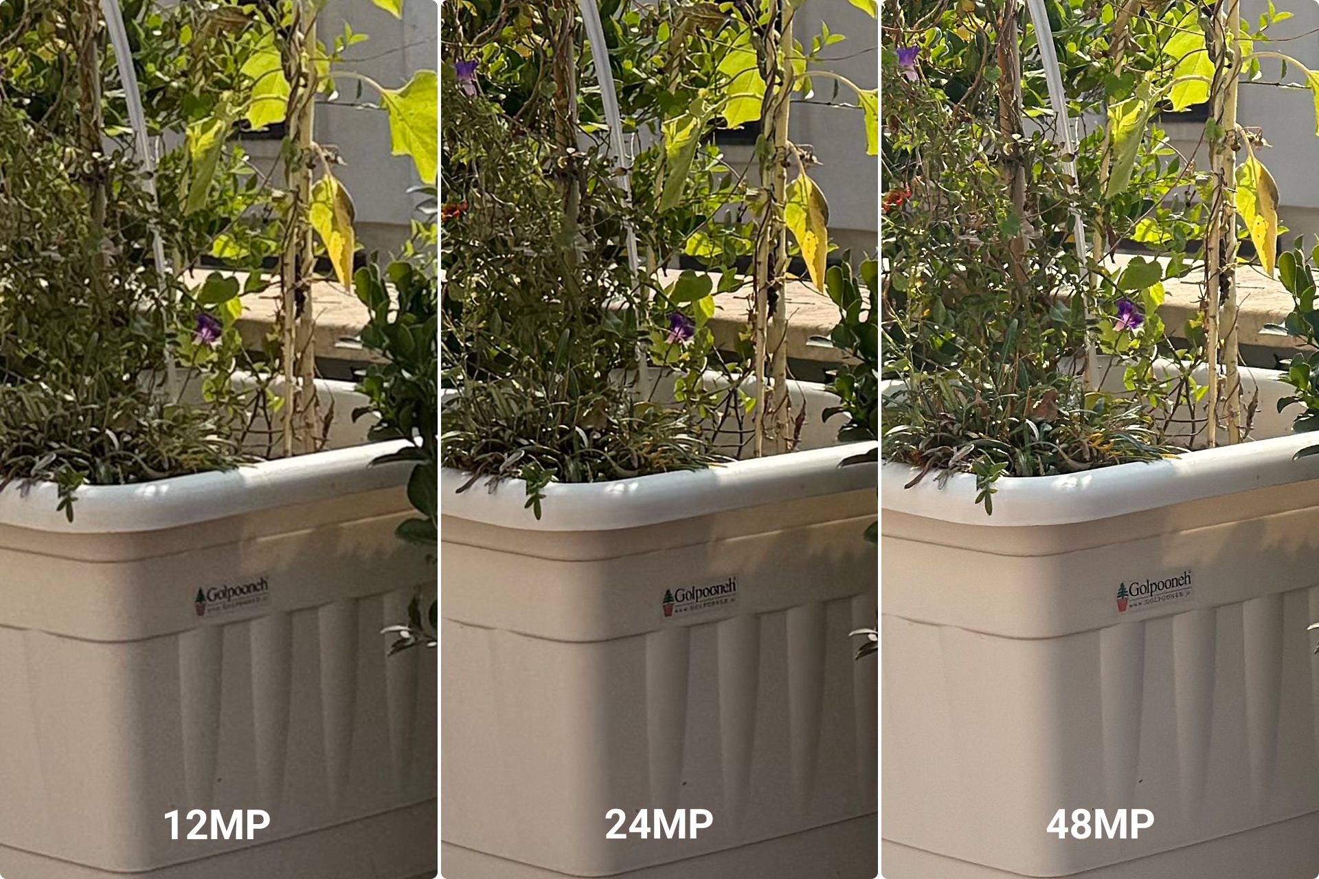 Crop photos of 12, 24 and 48 megapixels of the main iPhone 16 Pro camera