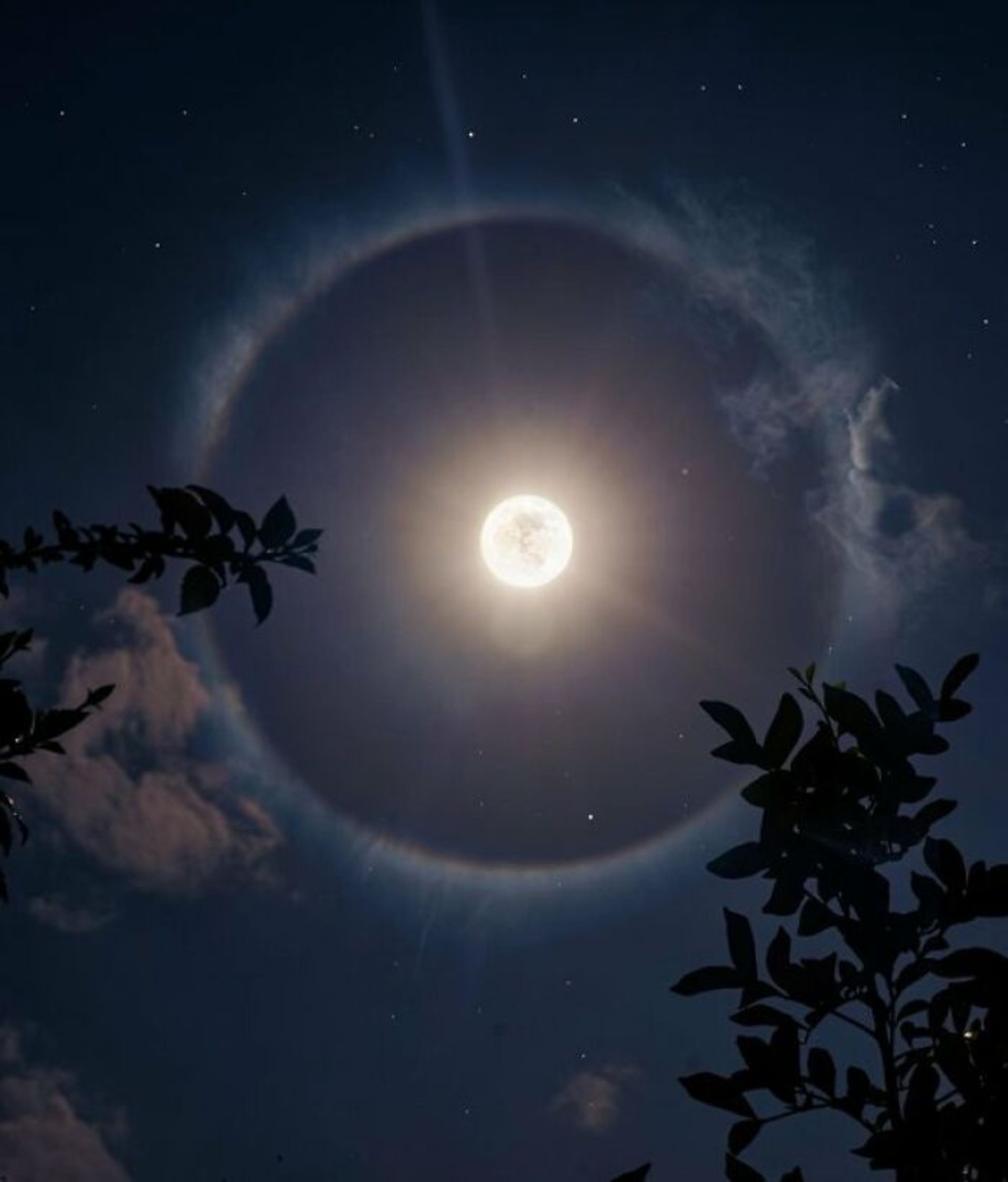 ماه وسط آسمان شب