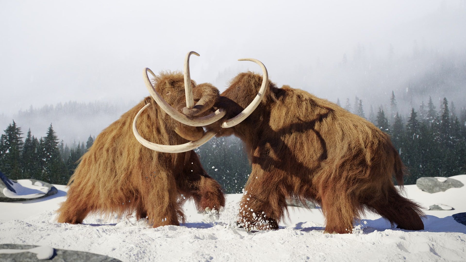 Two woolly mammoths fight in the snow