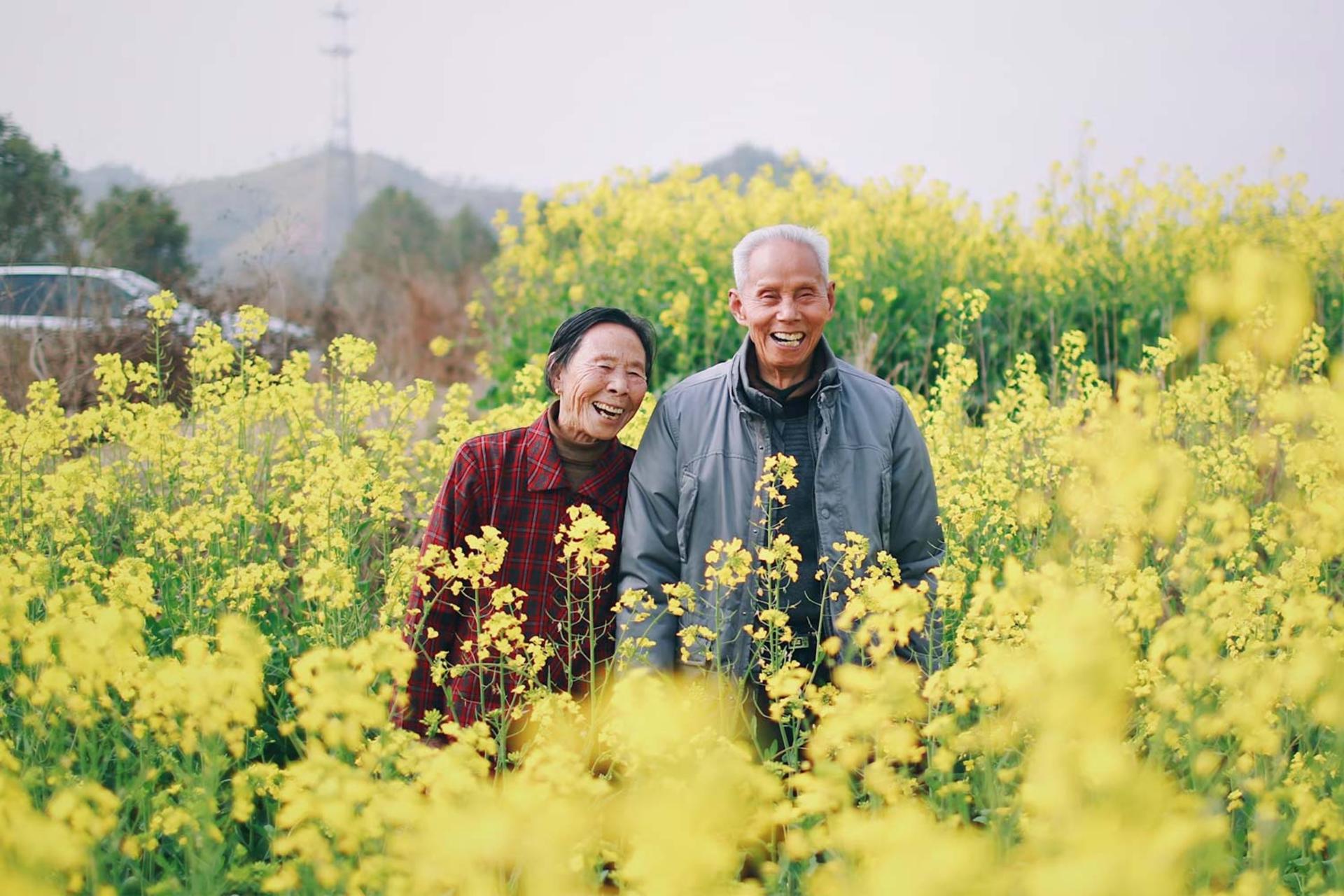 زن و مرد مسن و خندان ایستاده در دشتی از گل‌های زرد و بلند 