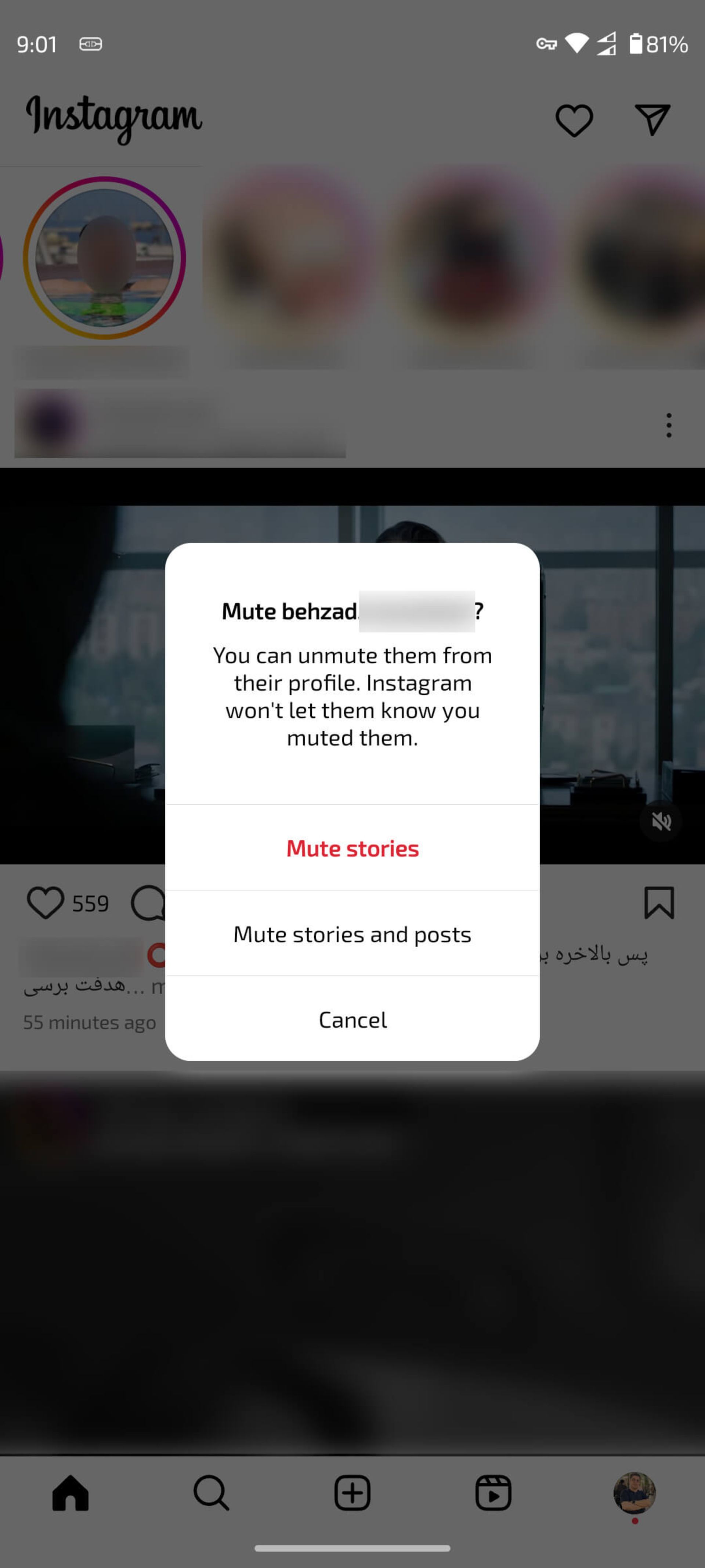 انتخاب Mute stories (بی‌صدا کردن داستان‌ها) یا Mute stories and posts (بی‌صدا کردن داستان‌ها و پست‌ها) 