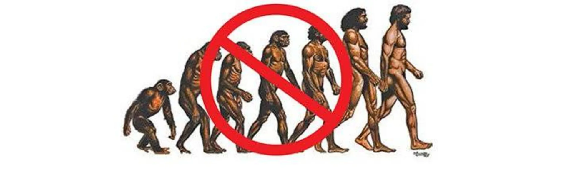 تصویر اشتباه از تکامل