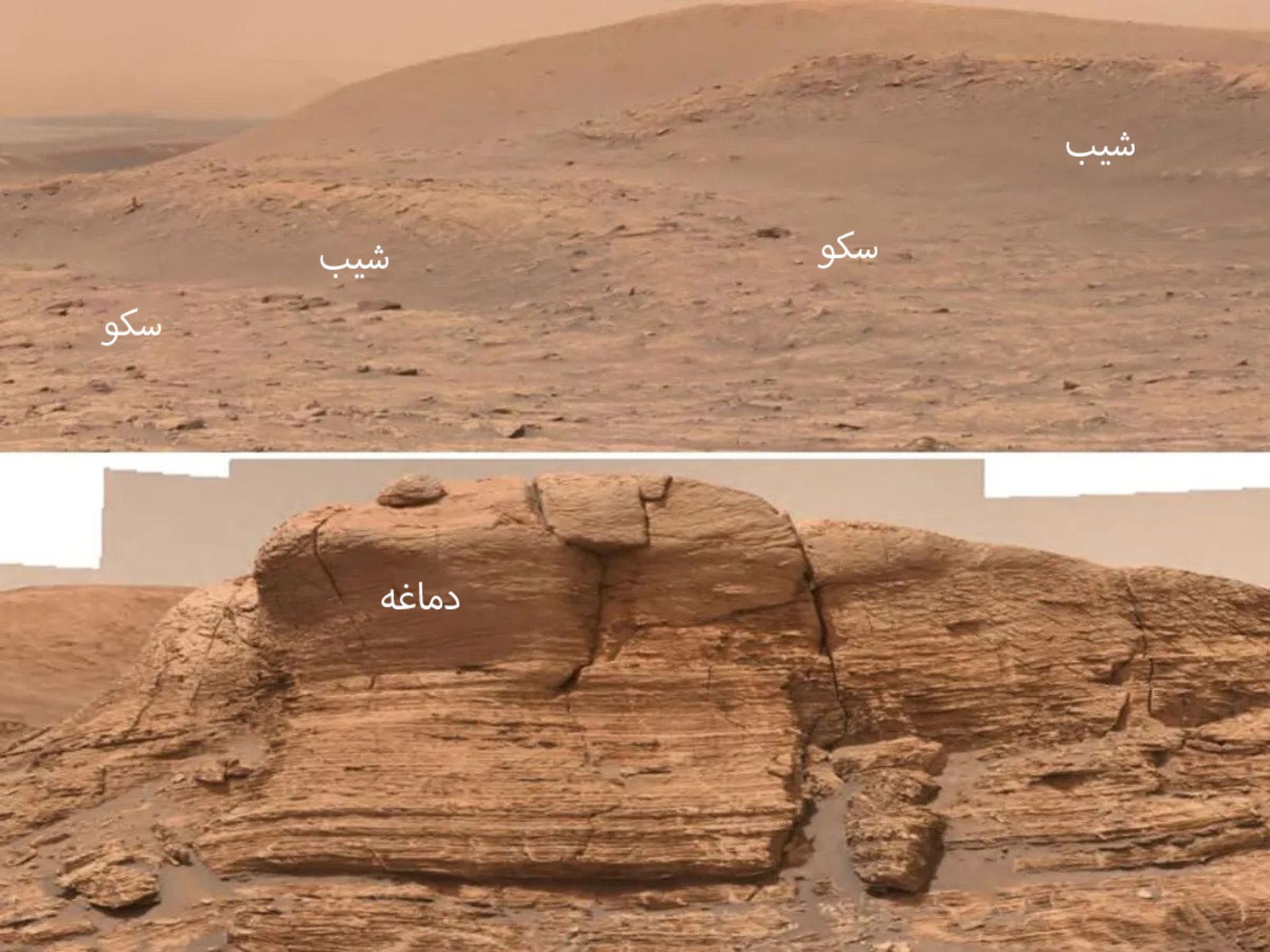 ساختار رودخانه‌ای مریخی