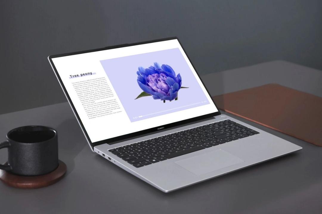 لپ تاپ هواوی میت بوک D16 مدل ۲۰۲۴