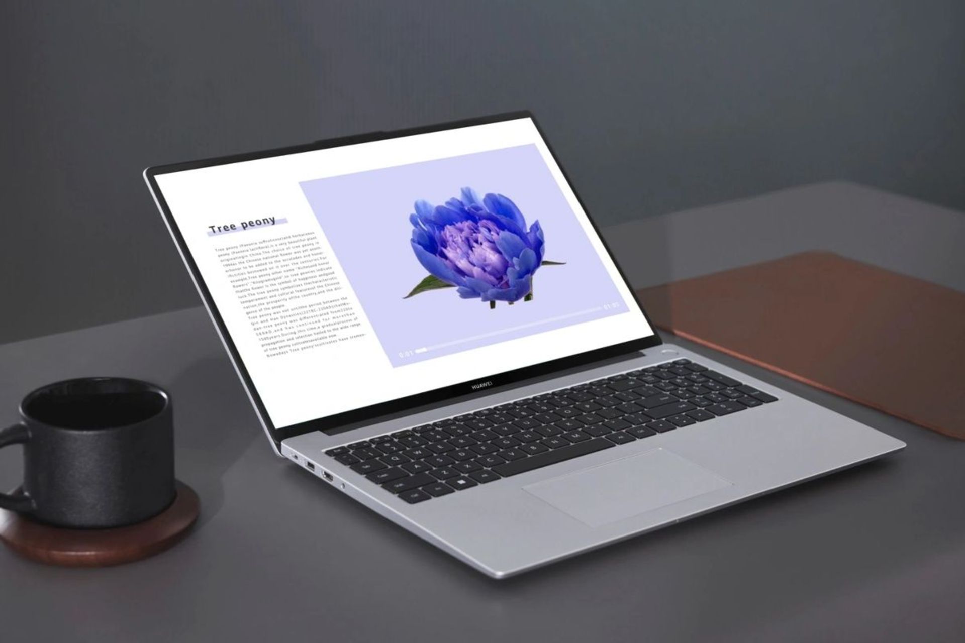 لپ تاپ هواوی میت بوک D16 مدل ۲۰۲۴