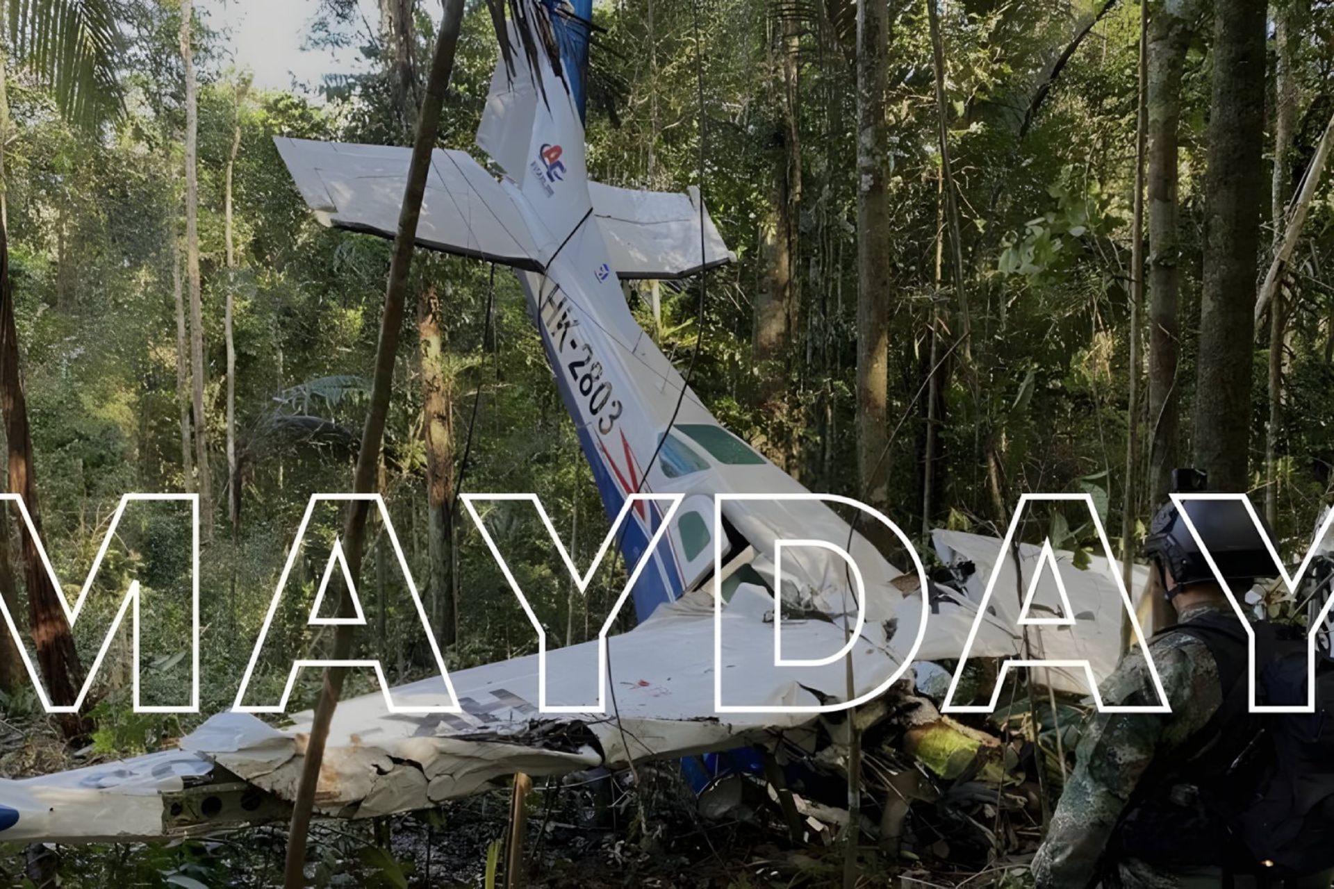 هواپیمای سقوط کرده در جنگل