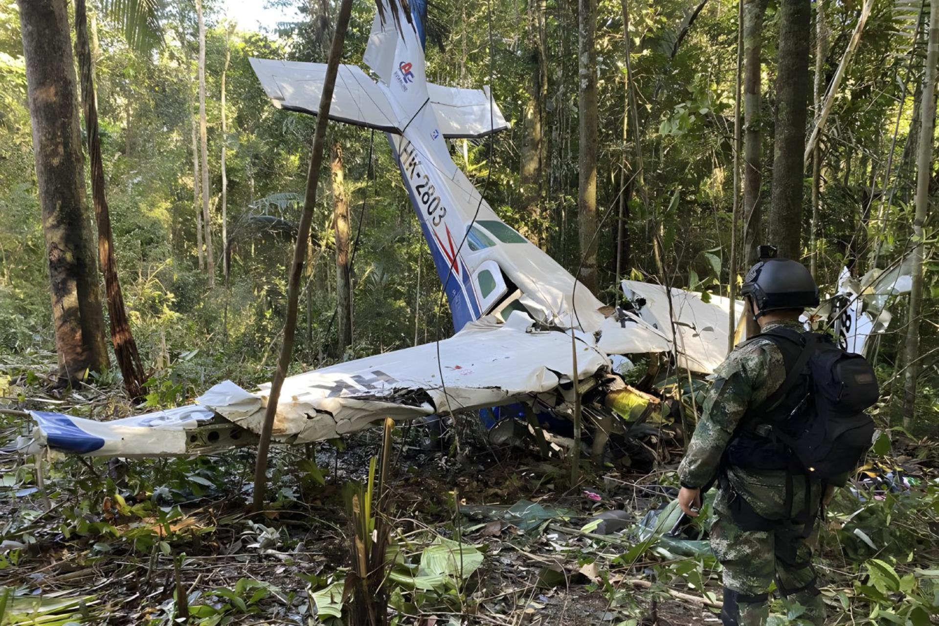 هواپیمای سقوط کرده در جنگل